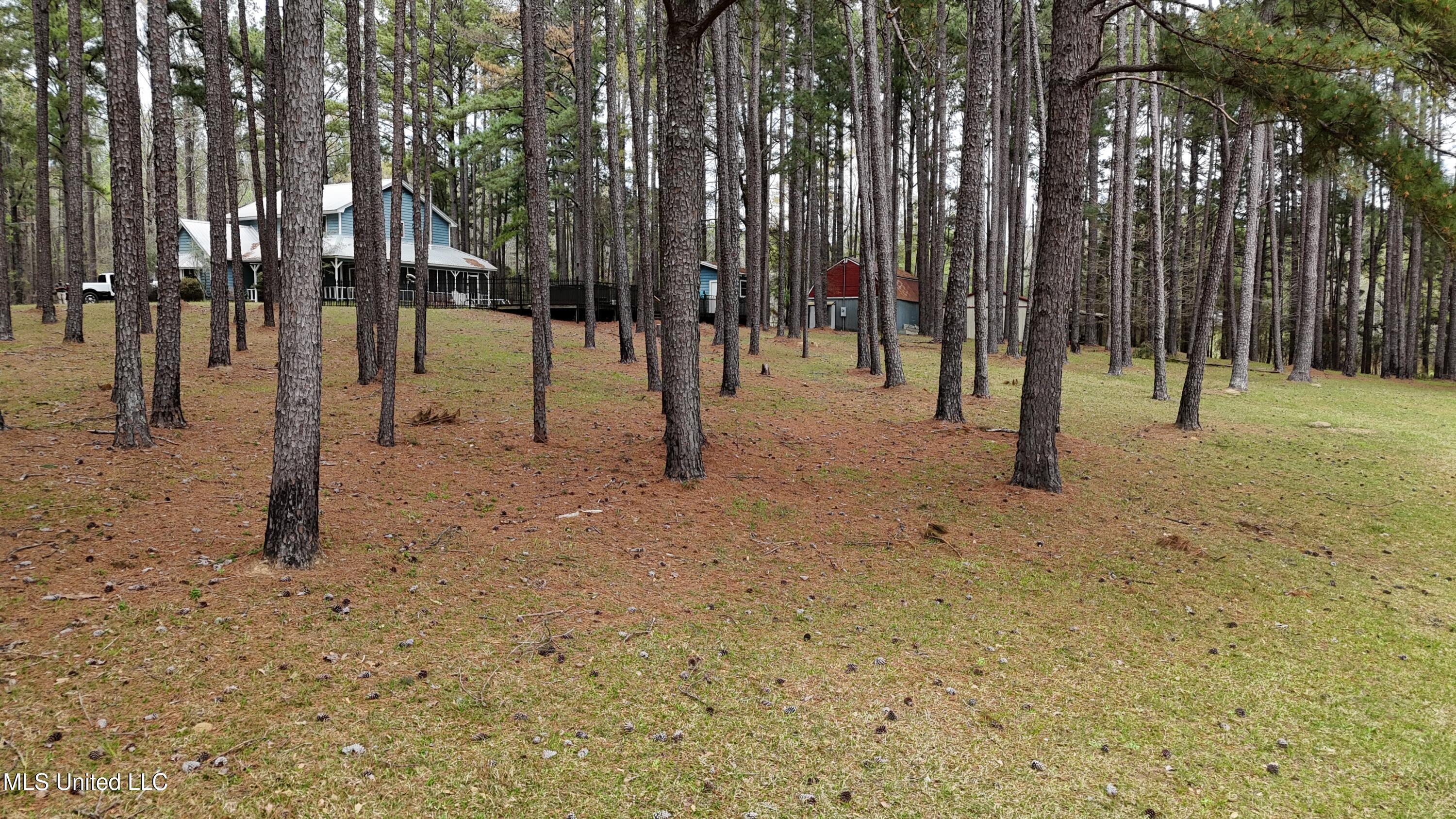 124 Campbell Cove, Brandon, Mississippi image 13