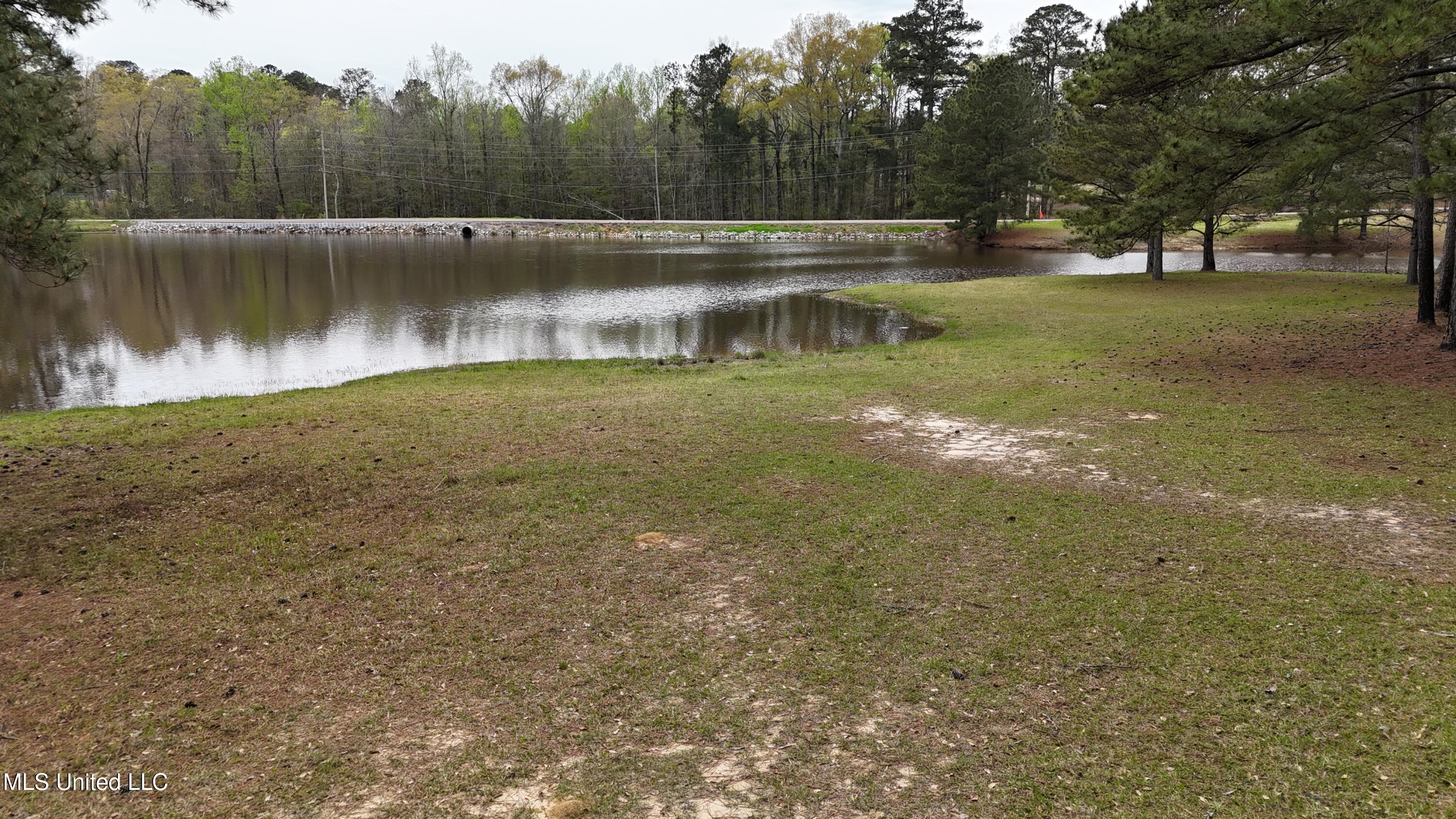 124 Campbell Cove, Brandon, Mississippi image 10