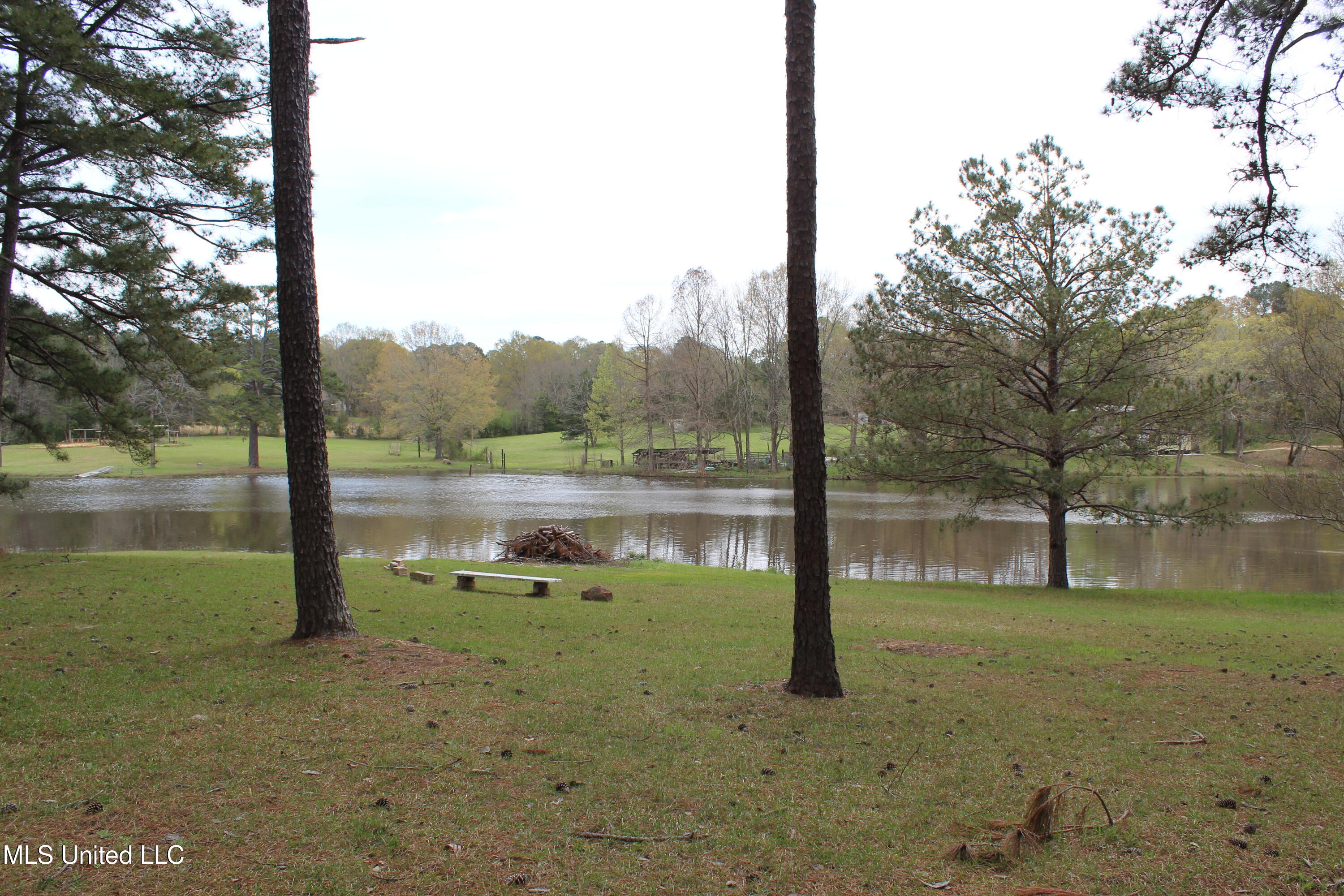 124 Campbell Cove, Brandon, Mississippi image 9