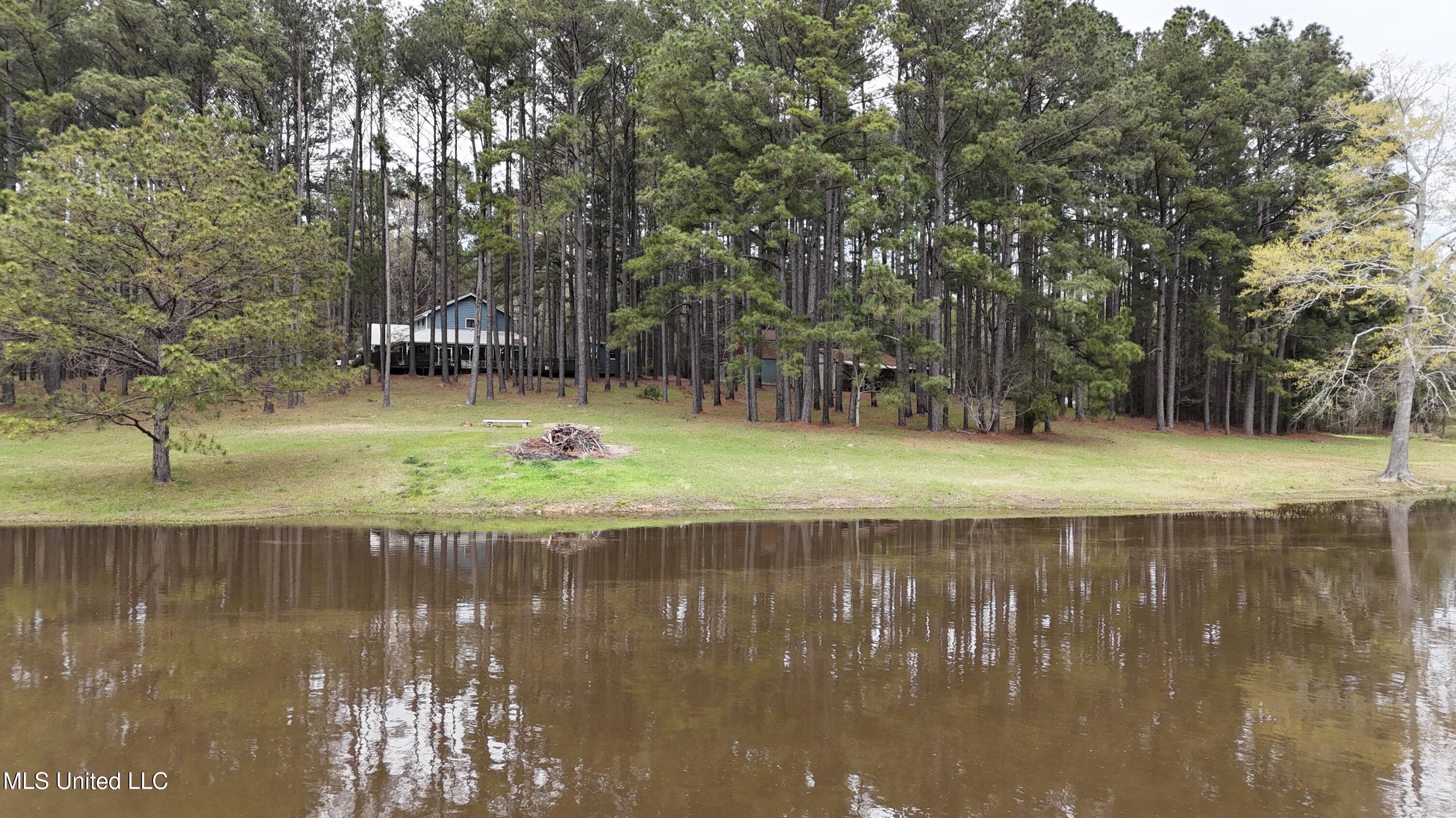 124 Campbell Cove, Brandon, Mississippi image 12