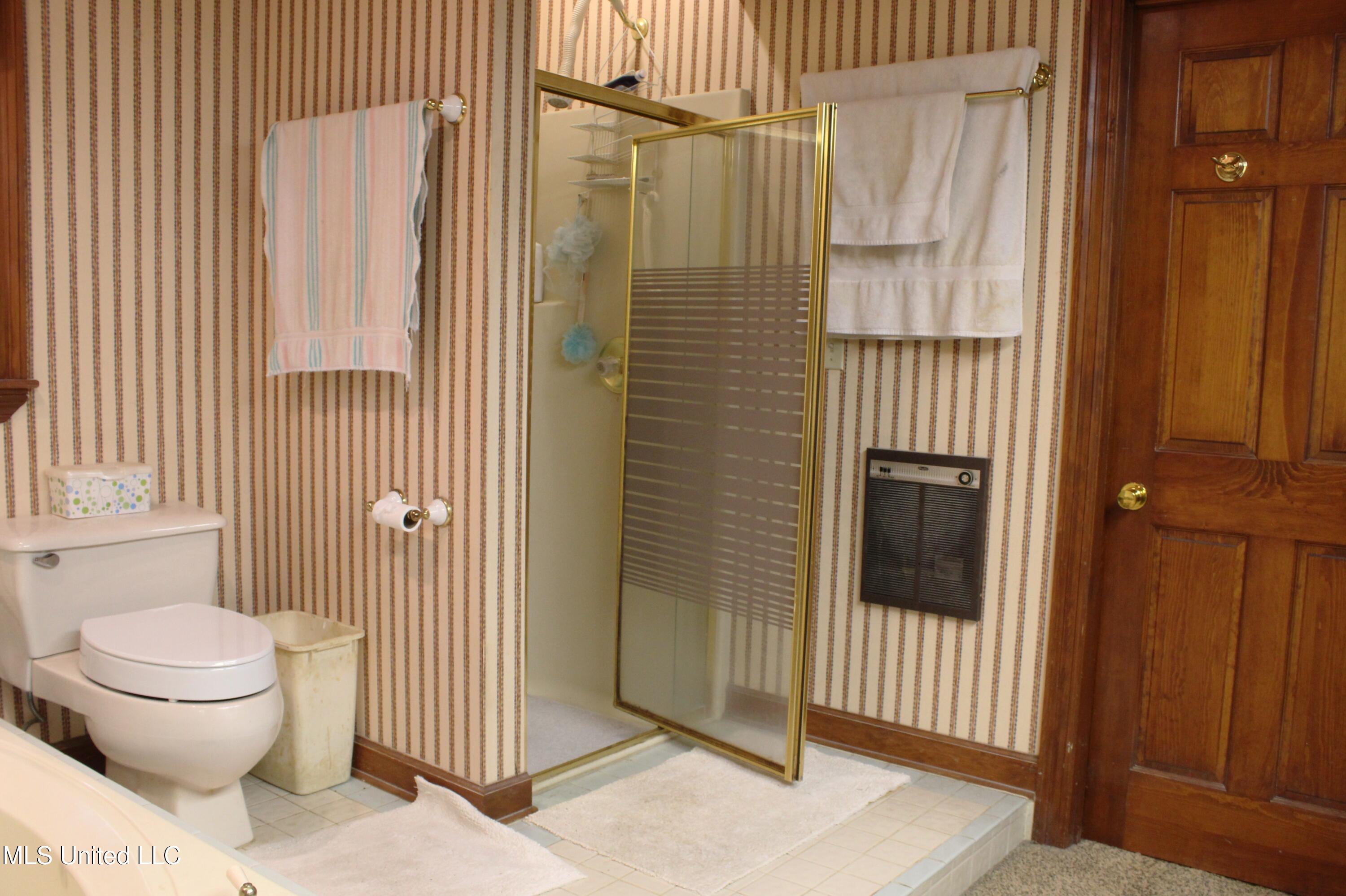 124 Campbell Cove, Brandon, Mississippi image 27