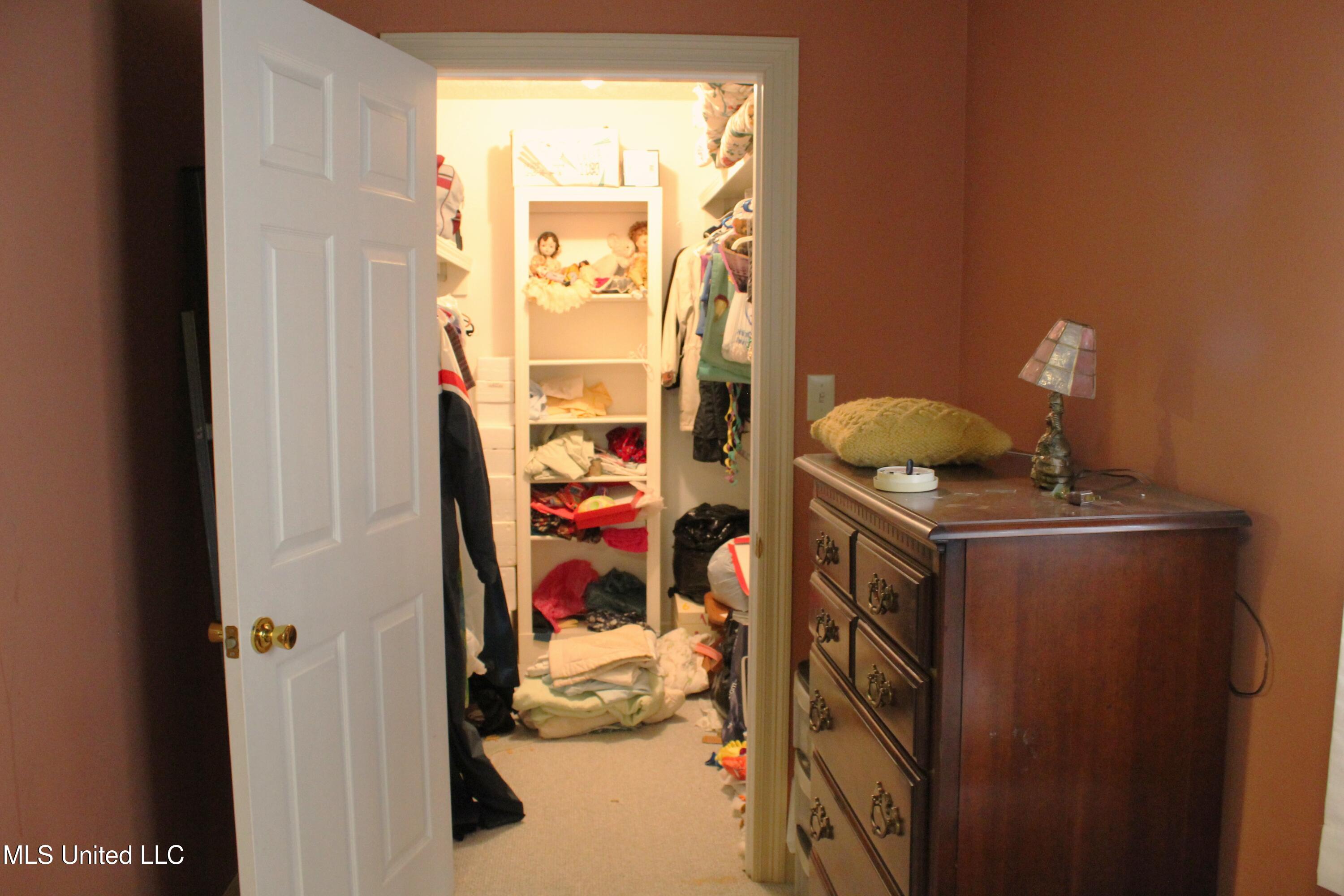 124 Campbell Cove, Brandon, Mississippi image 41