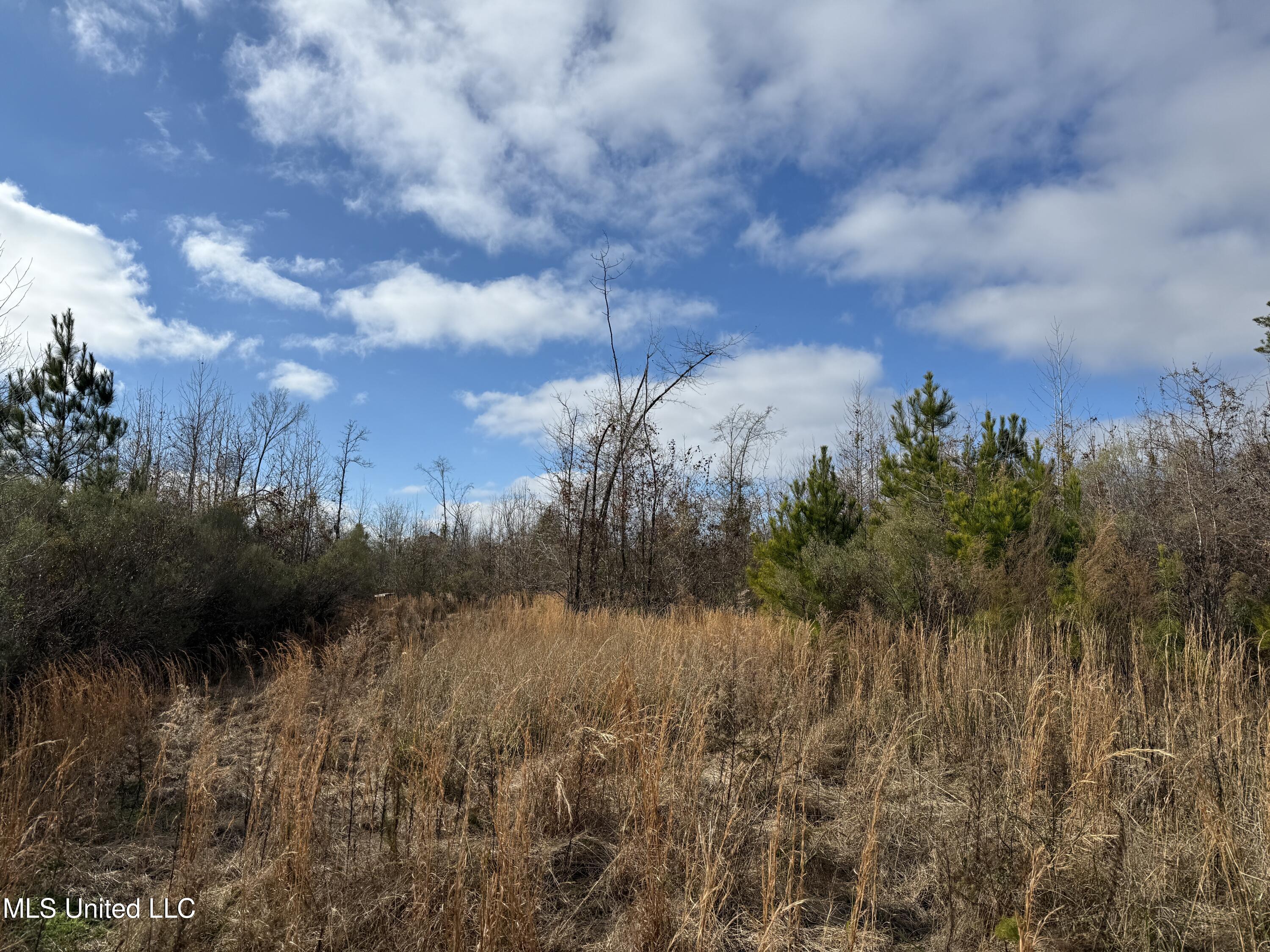 8076 Franklin Cut-off Road, Durant, Mississippi image 16