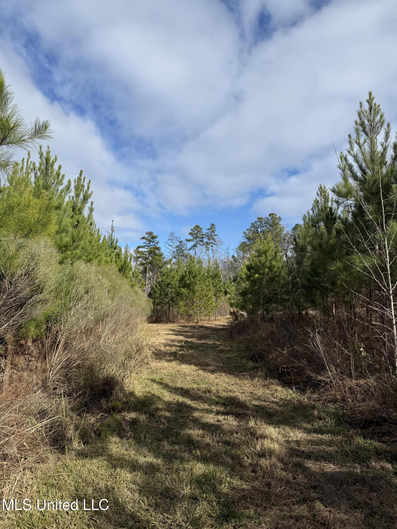 8076 Franklin Cut-off Road, Durant, Mississippi image 15