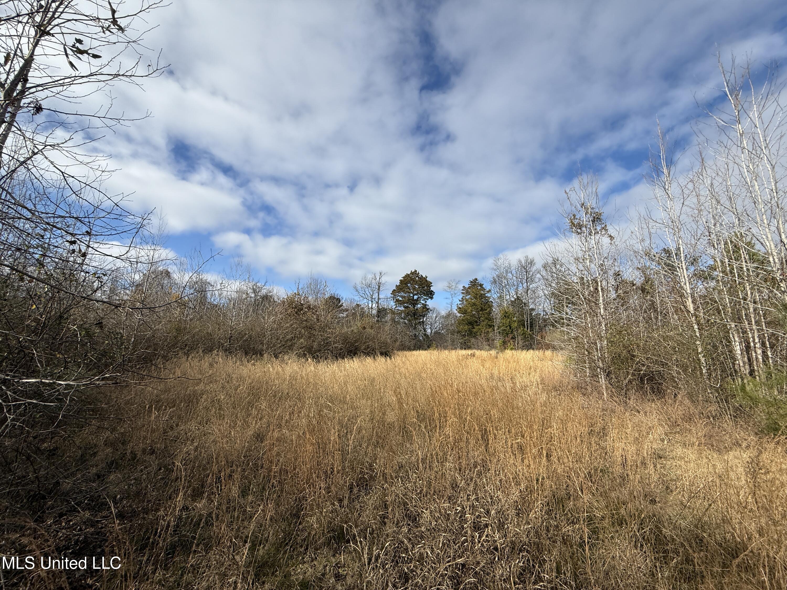 8076 Franklin Cut-off Road, Durant, Mississippi image 19