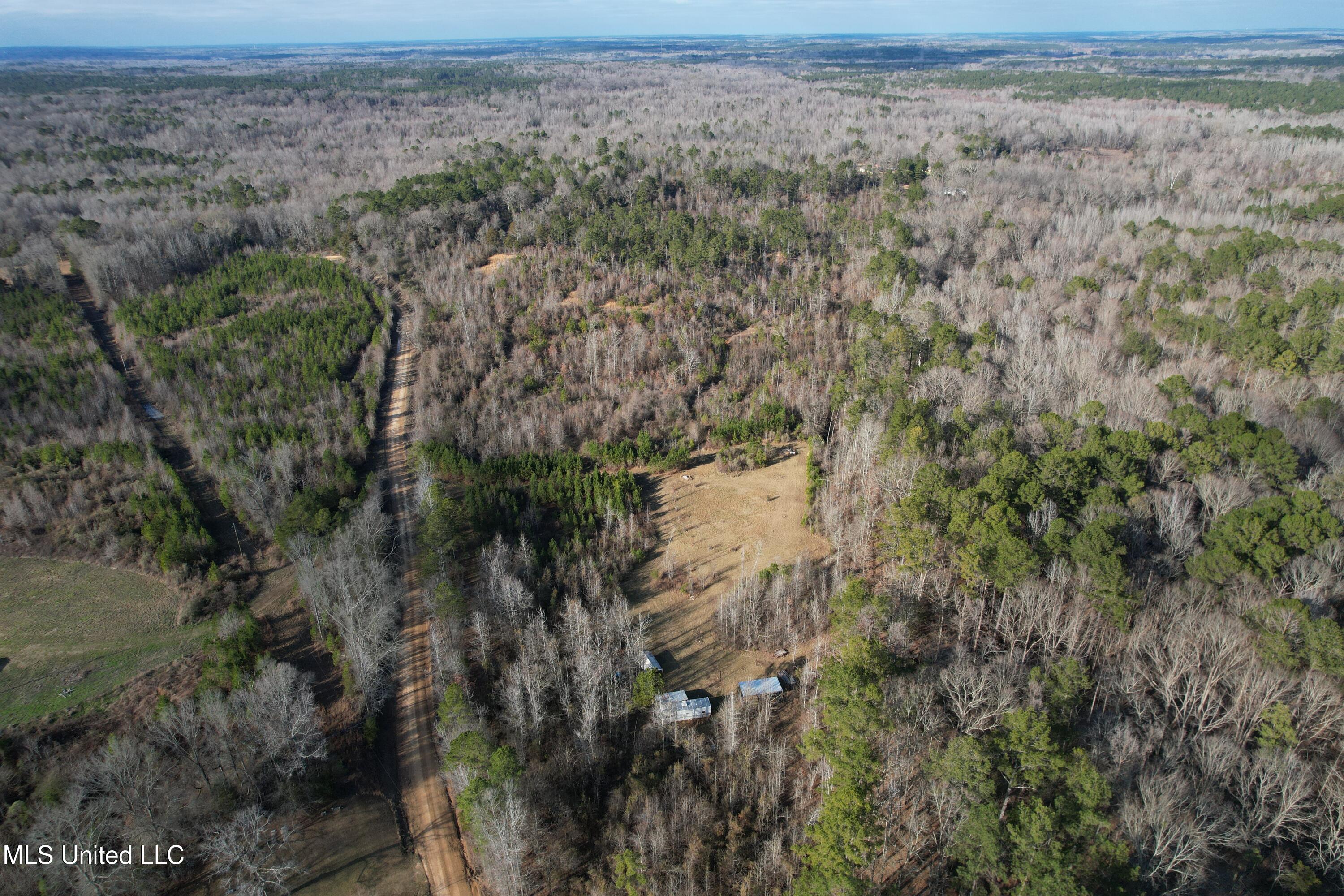 8076 Franklin Cut-off Road, Durant, Mississippi image 1