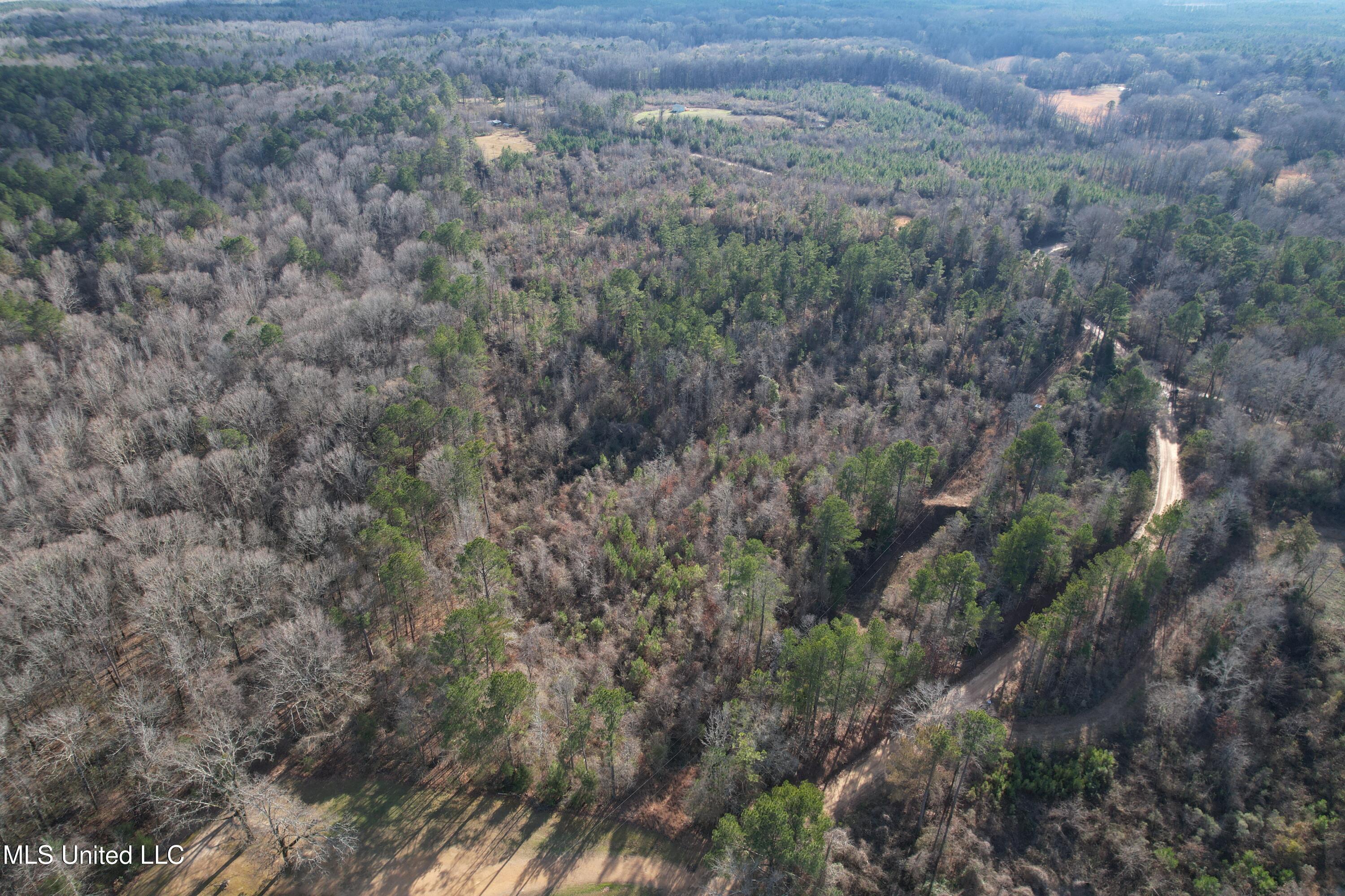 8076 Franklin Cut-off Road, Durant, Mississippi image 3