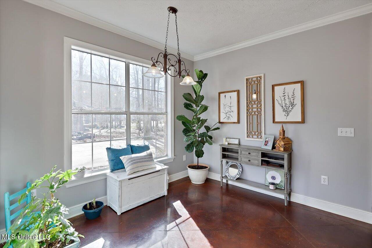 1120 Pointe Cove, Brandon, Mississippi image 23