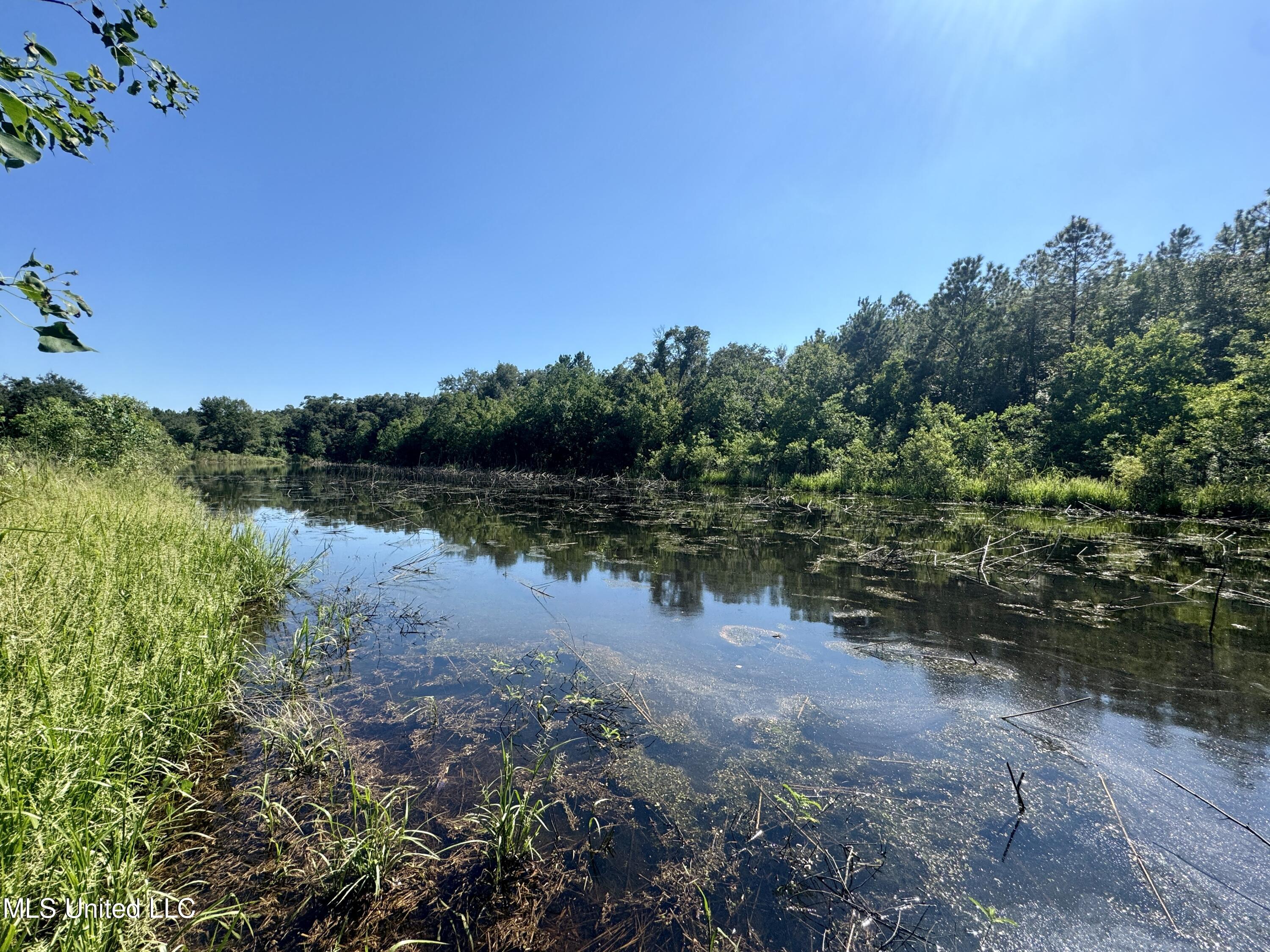 Flat Top Road Road, Picayune, Mississippi image 9