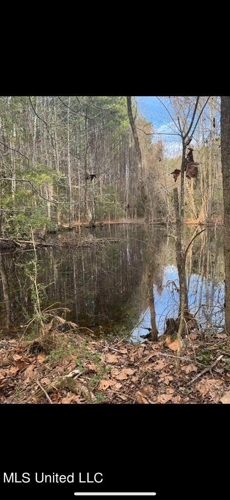 Rosemound Loop, Saint Francisville, Louisiana image 3