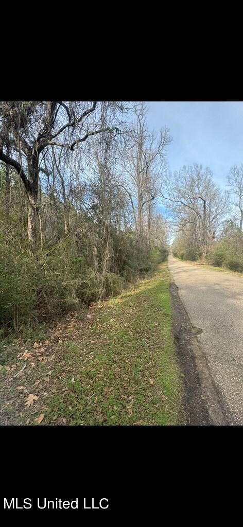 Rosemound Loop, Saint Francisville, Louisiana image 2