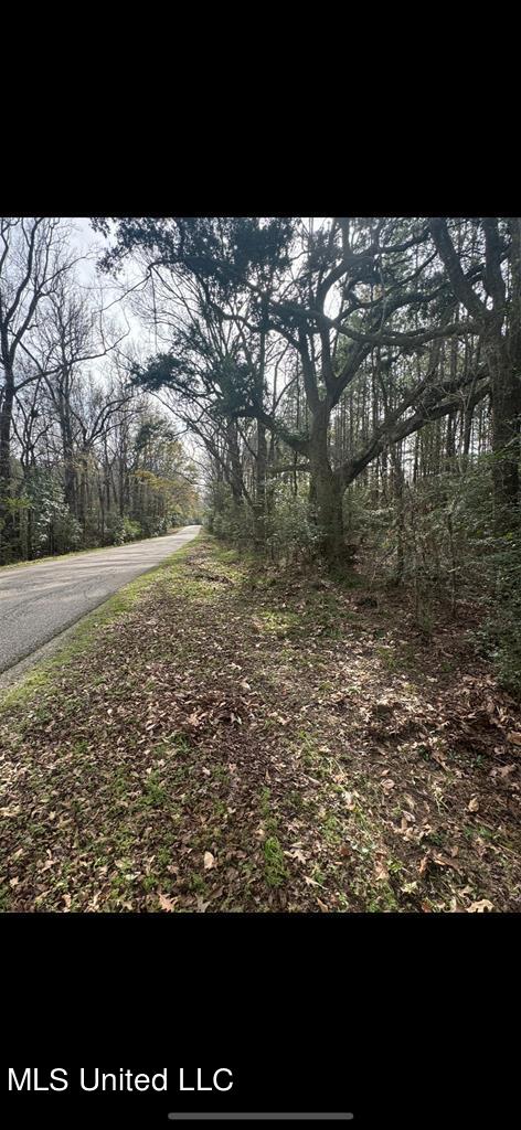 Rosemound Loop, Saint Francisville, Louisiana image 1