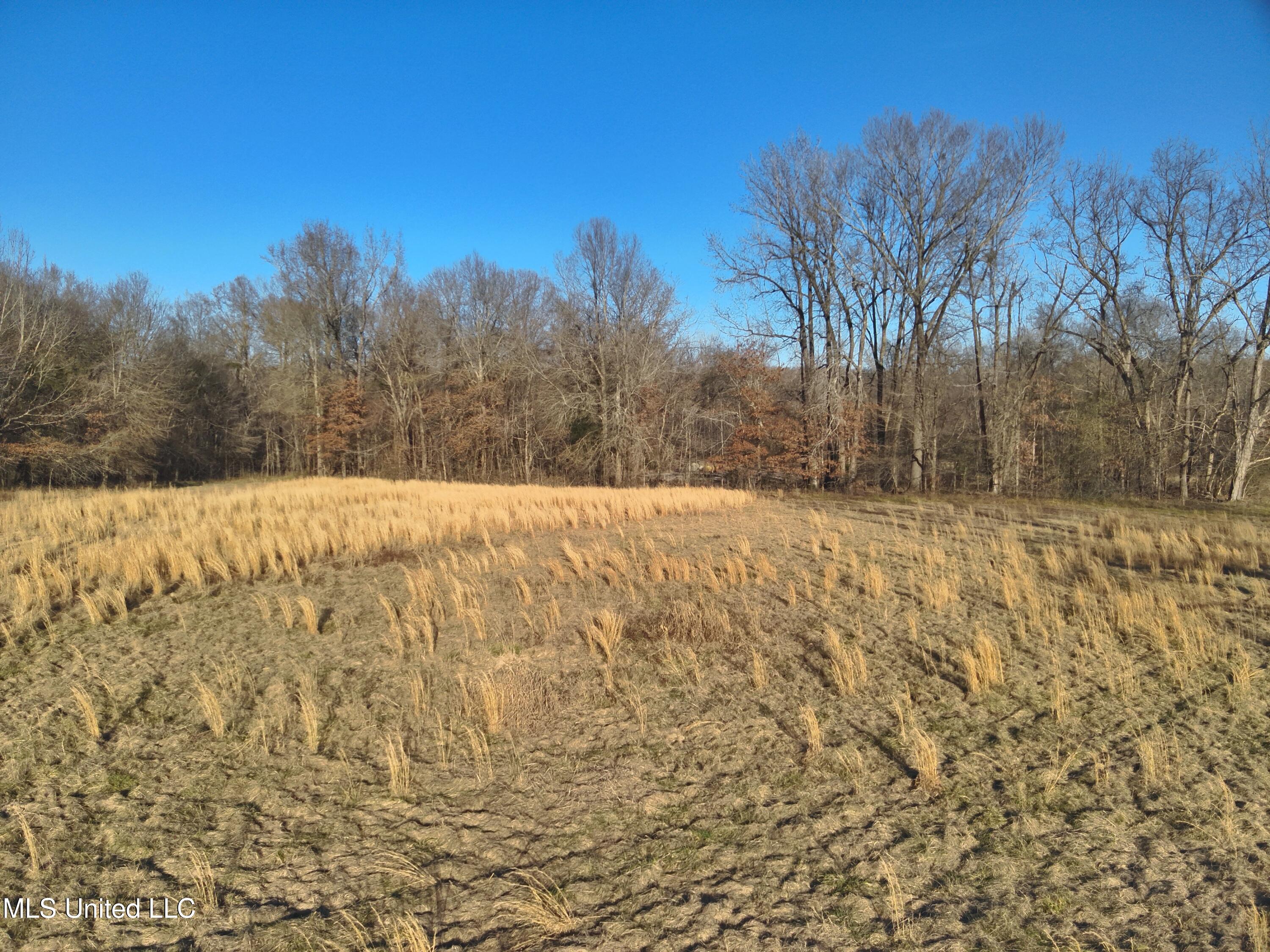 Broomfield Road Road, Yazoo City, Mississippi image 5