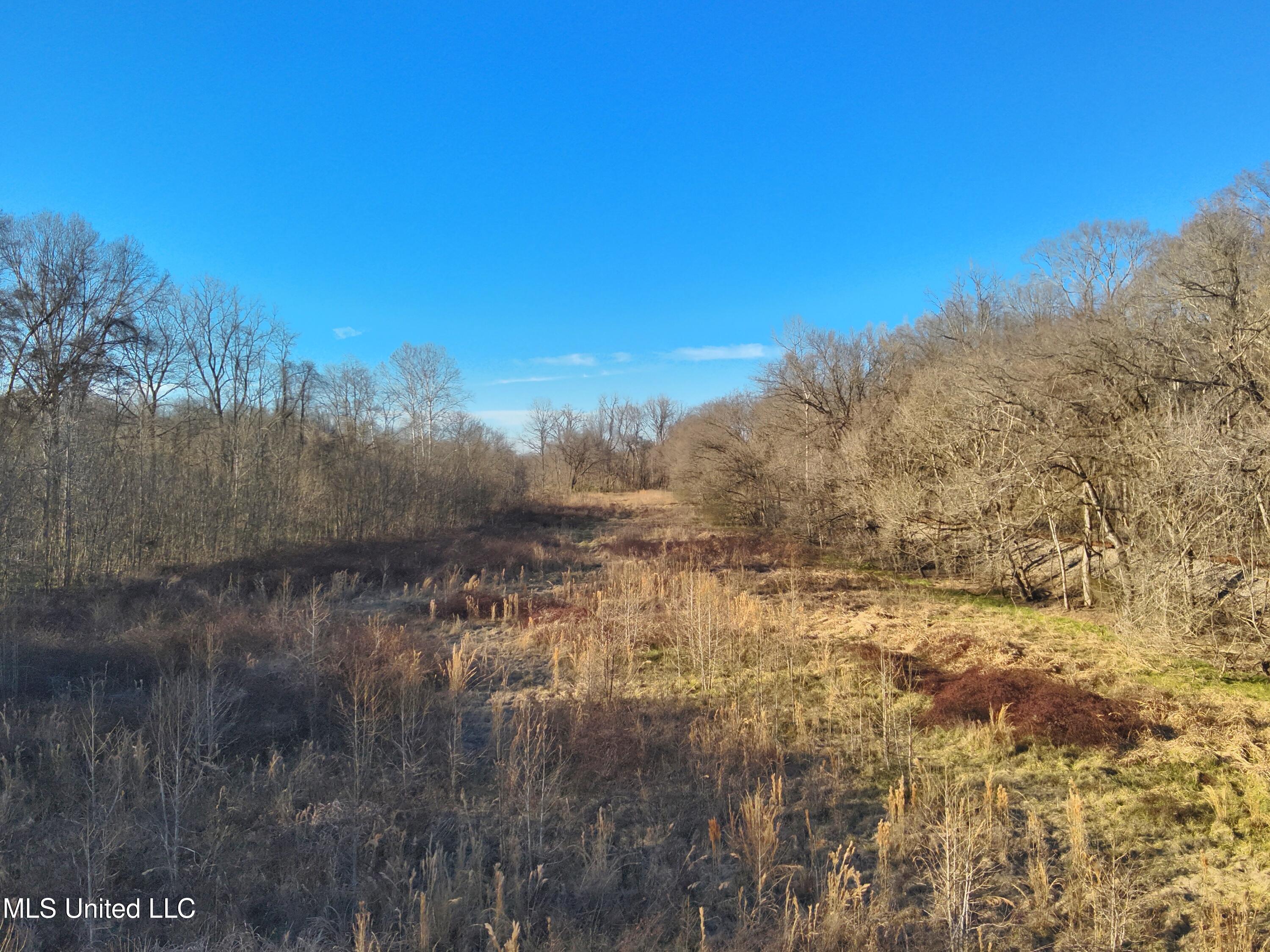 Broomfield Road Road, Yazoo City, Mississippi image 10