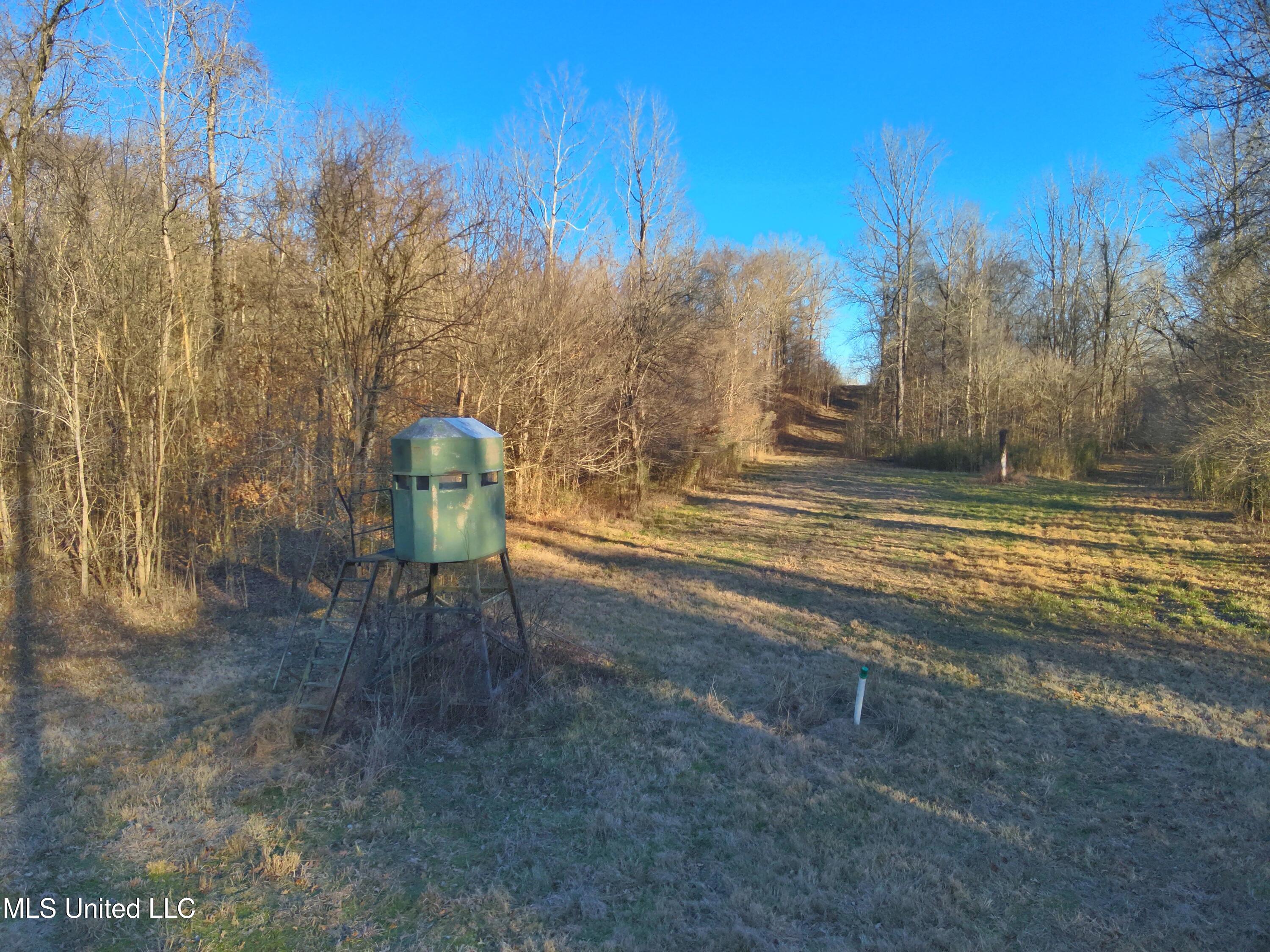 Broomfield Road Road, Yazoo City, Mississippi image 8