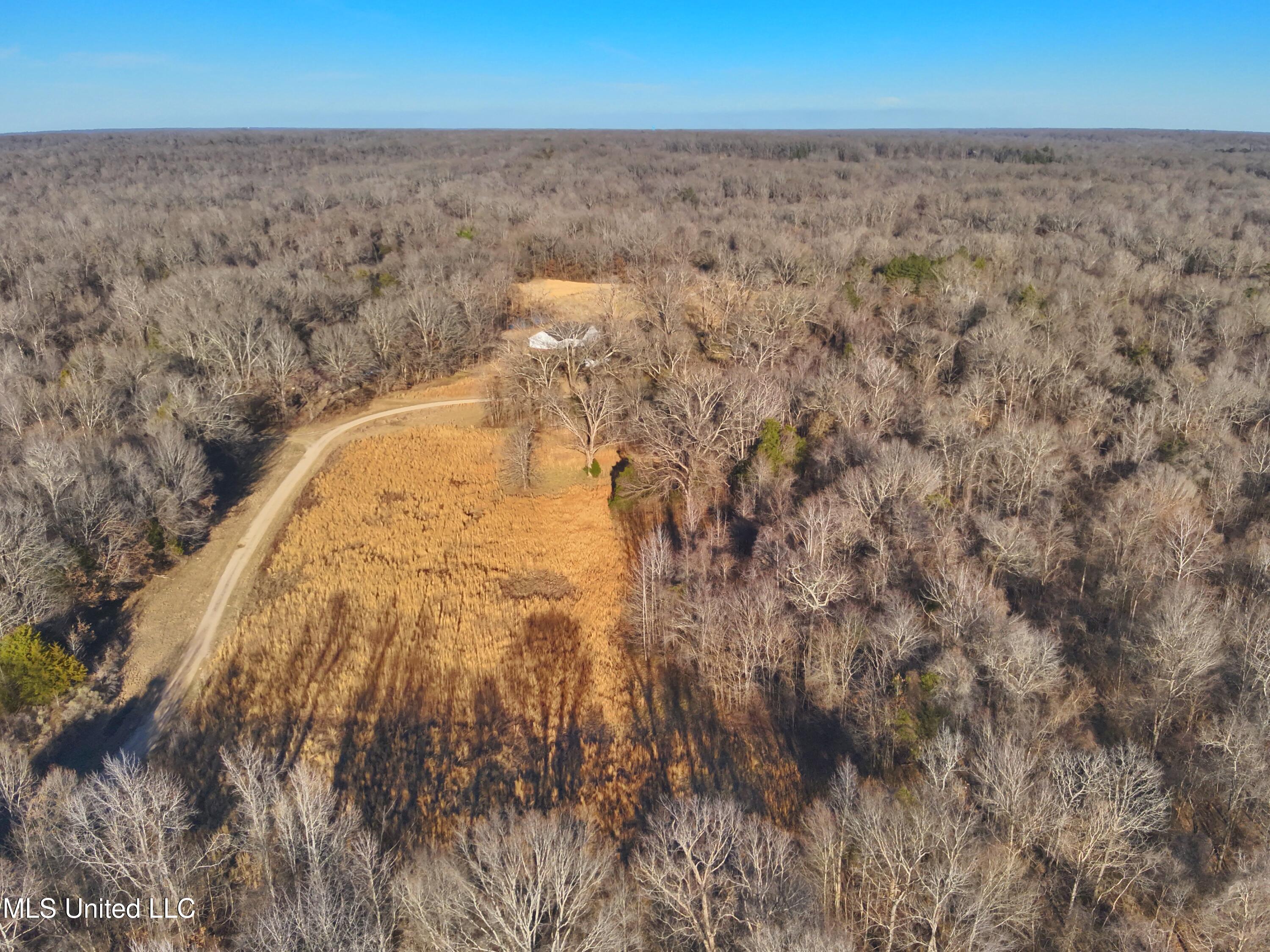 Broomfield Road Road, Yazoo City, Mississippi image 7