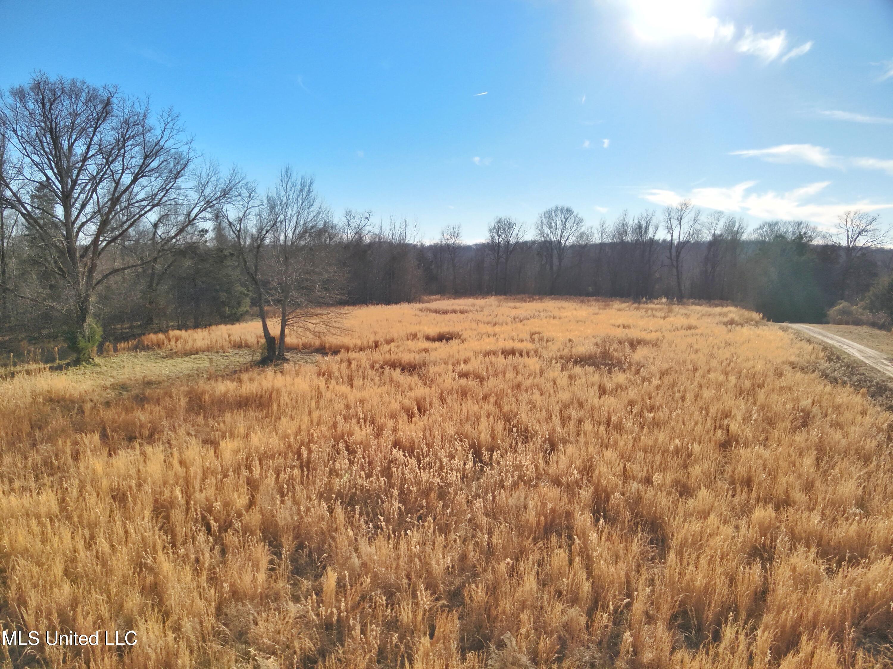 Broomfield Road Road, Yazoo City, Mississippi image 1