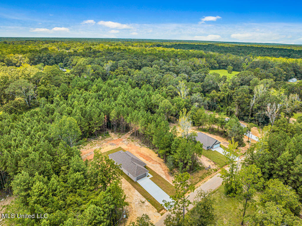 10219 Possum Fork Road, Picayune, Mississippi image 21