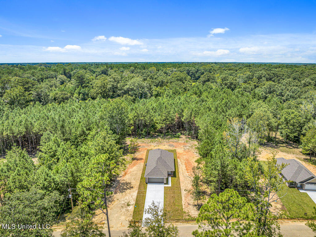 10219 Possum Fork Road, Picayune, Mississippi image 17