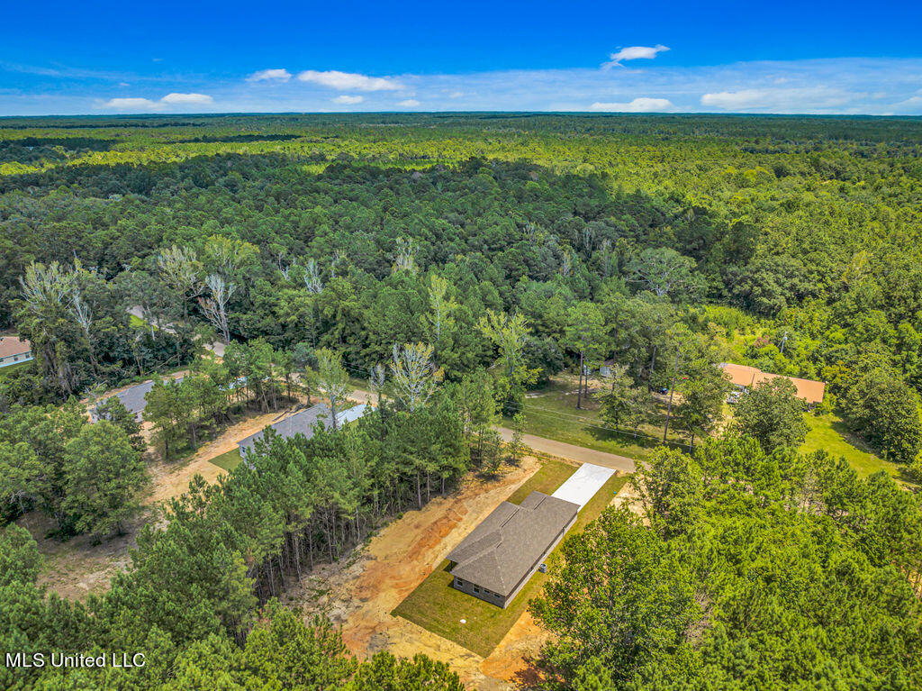 10219 Possum Fork Road, Picayune, Mississippi image 20