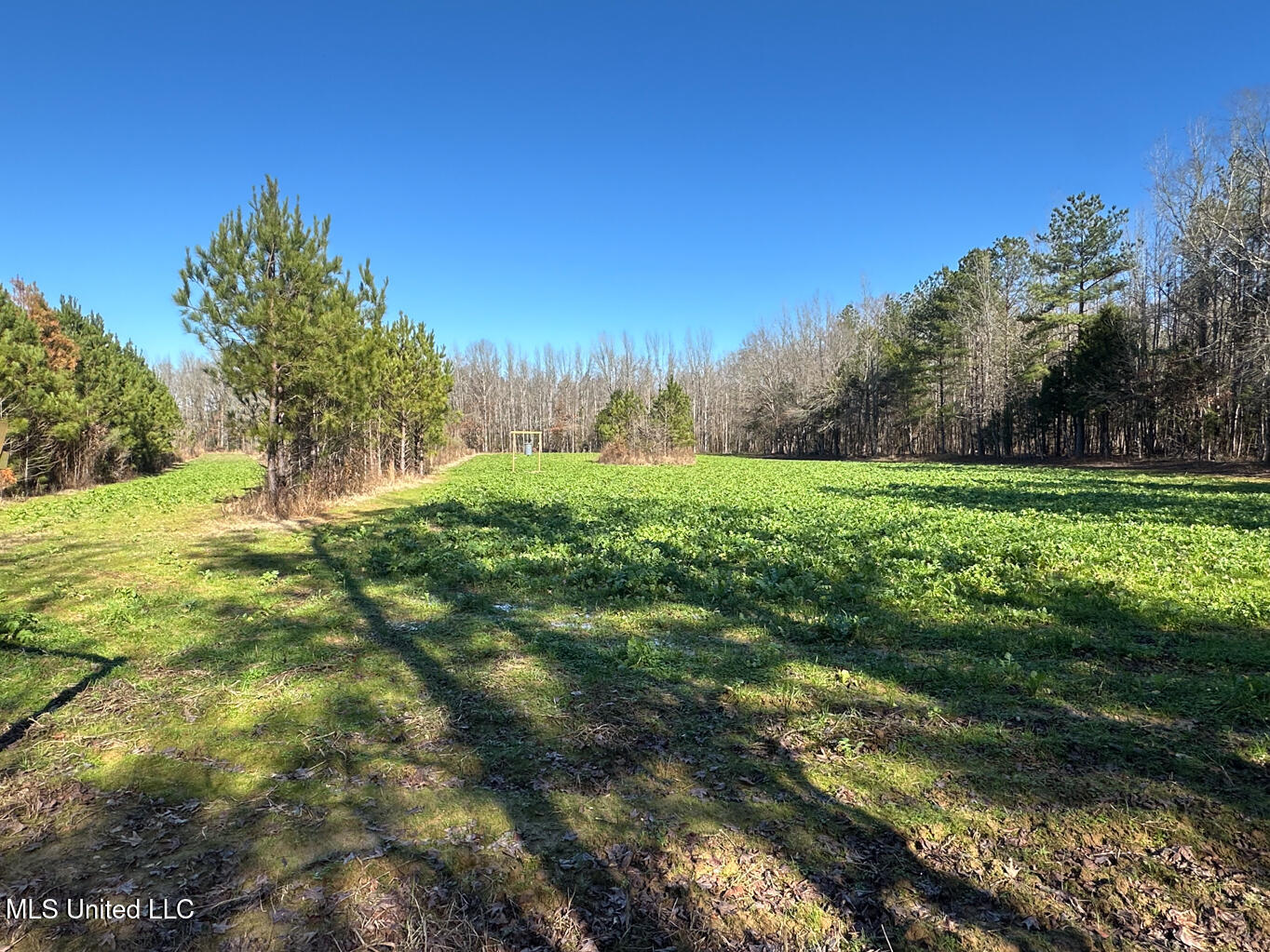 Co Rd 4120, Sallis, Mississippi image 1