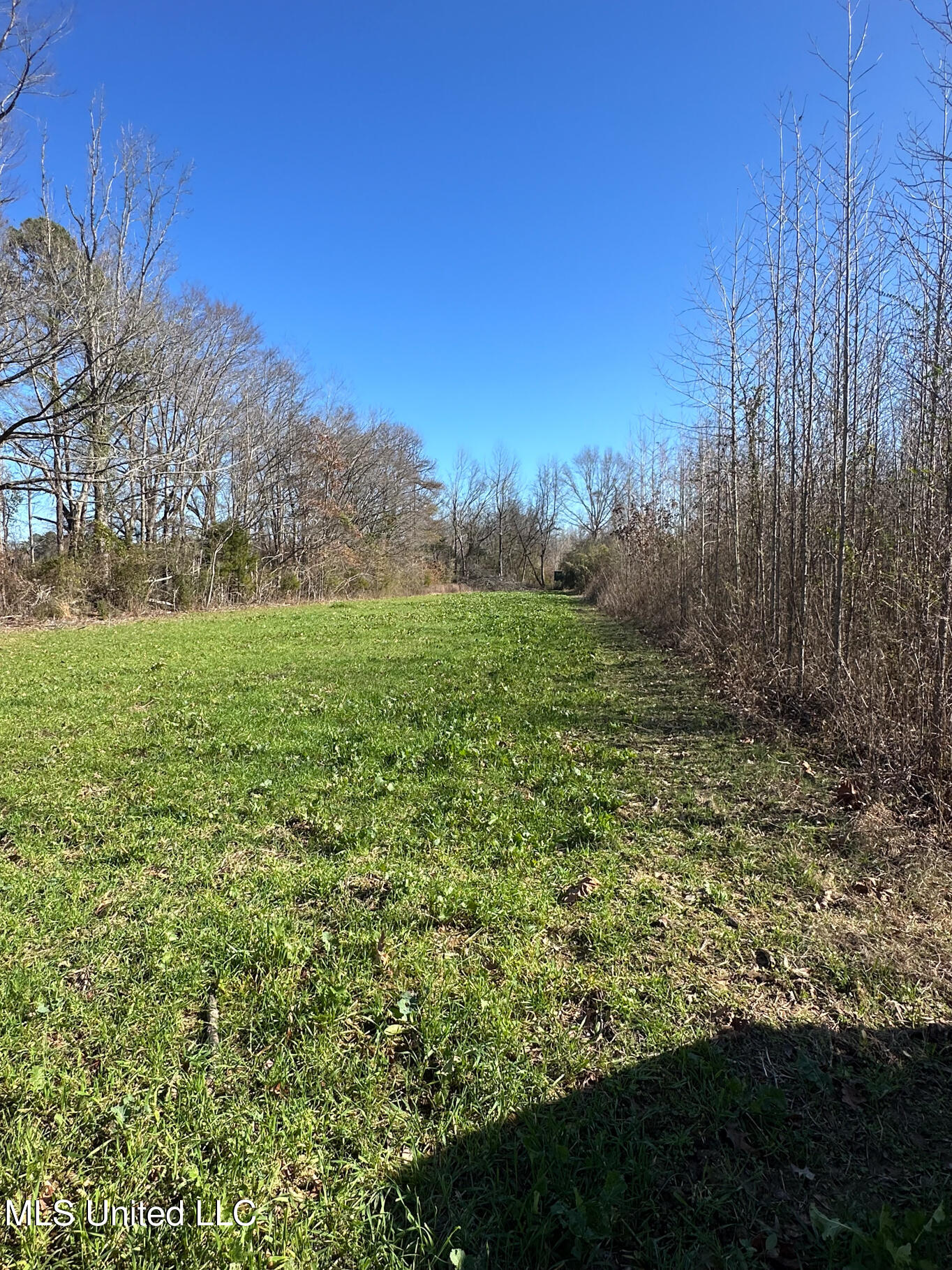 Co Rd 4120, Sallis, Mississippi image 21