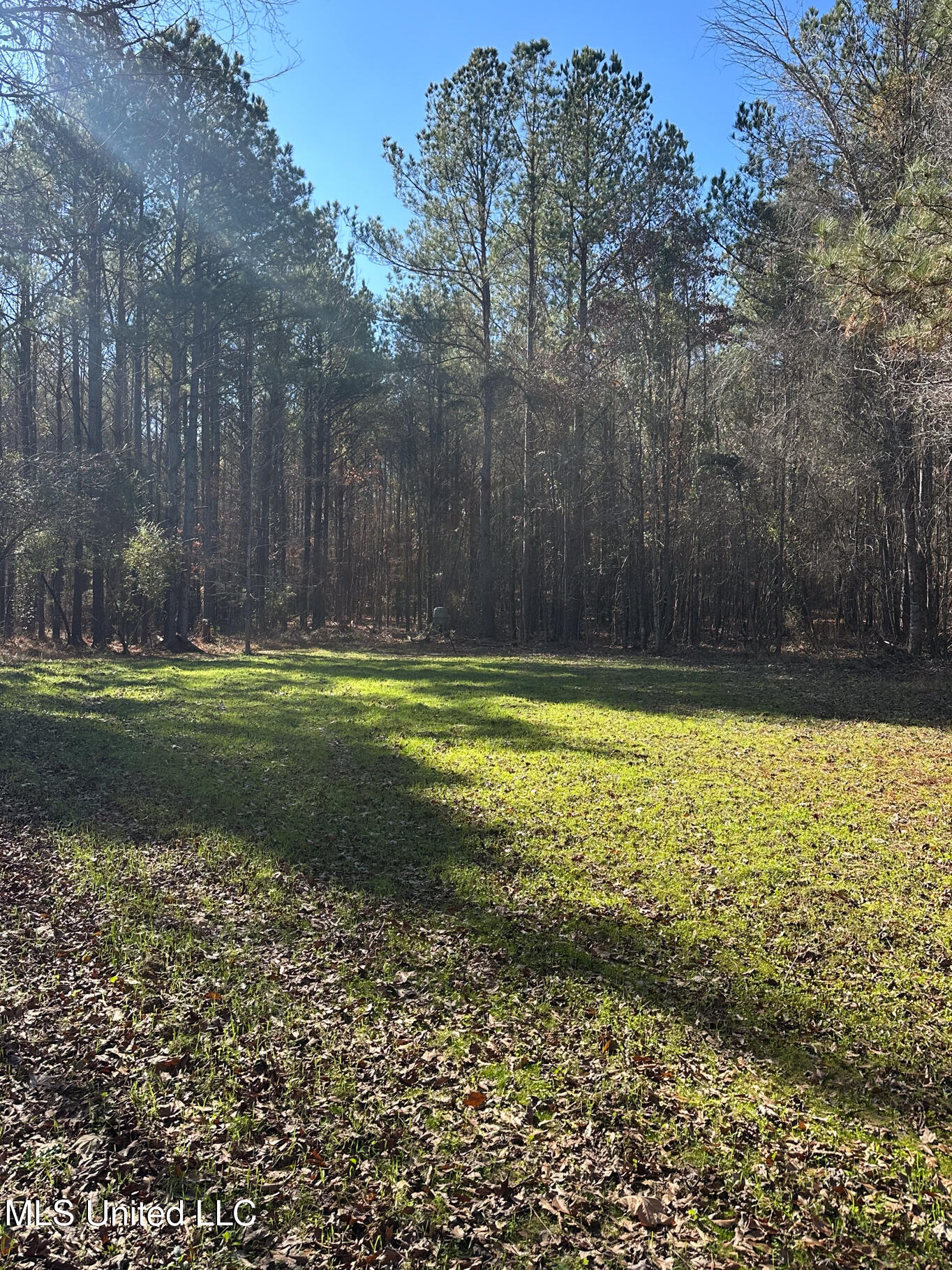 Co Rd 4120, Sallis, Mississippi image 3