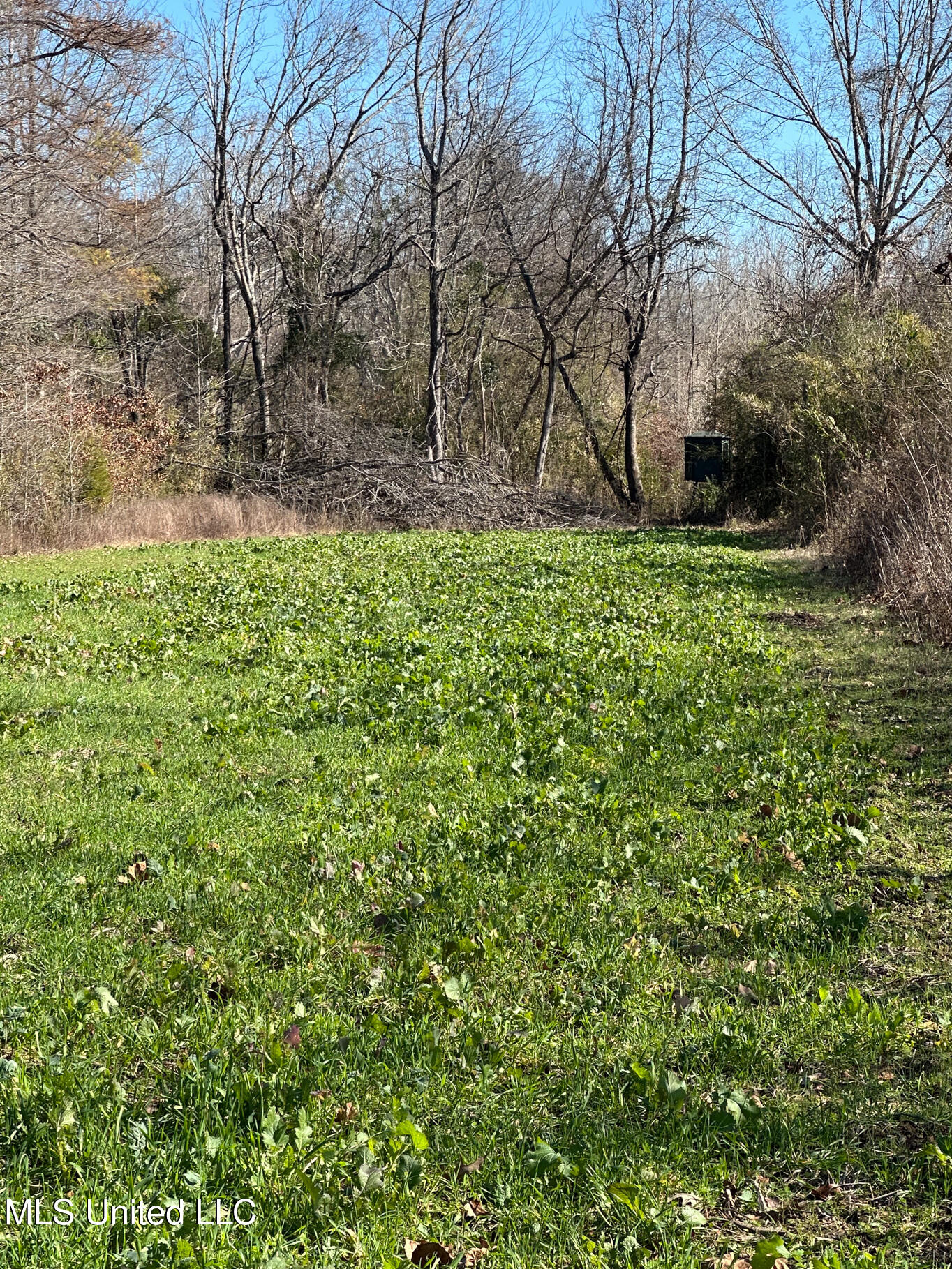 Co Rd 4120, Sallis, Mississippi image 20