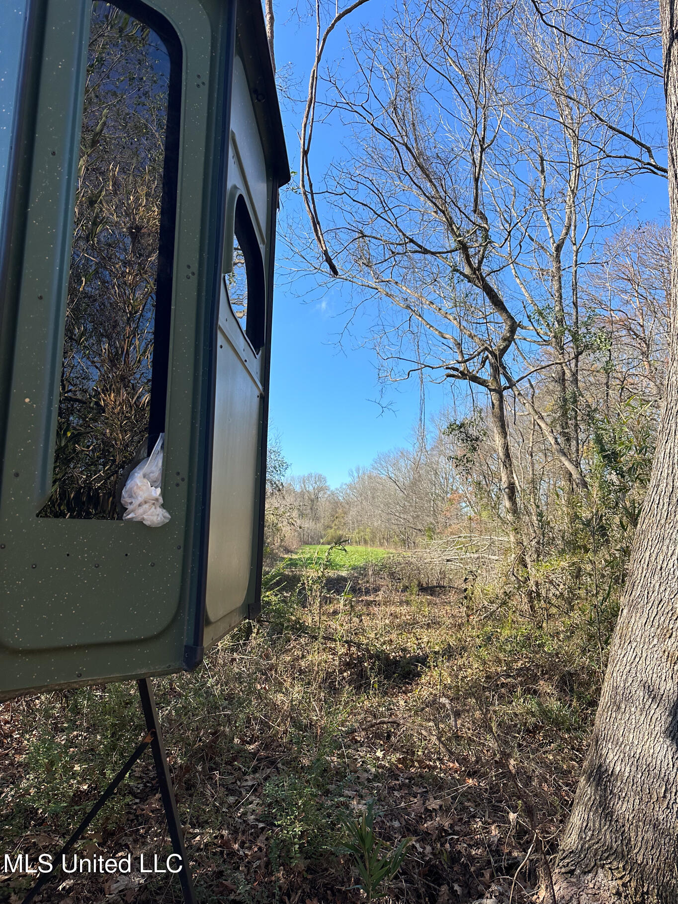 Co Rd 4120, Sallis, Mississippi image 17