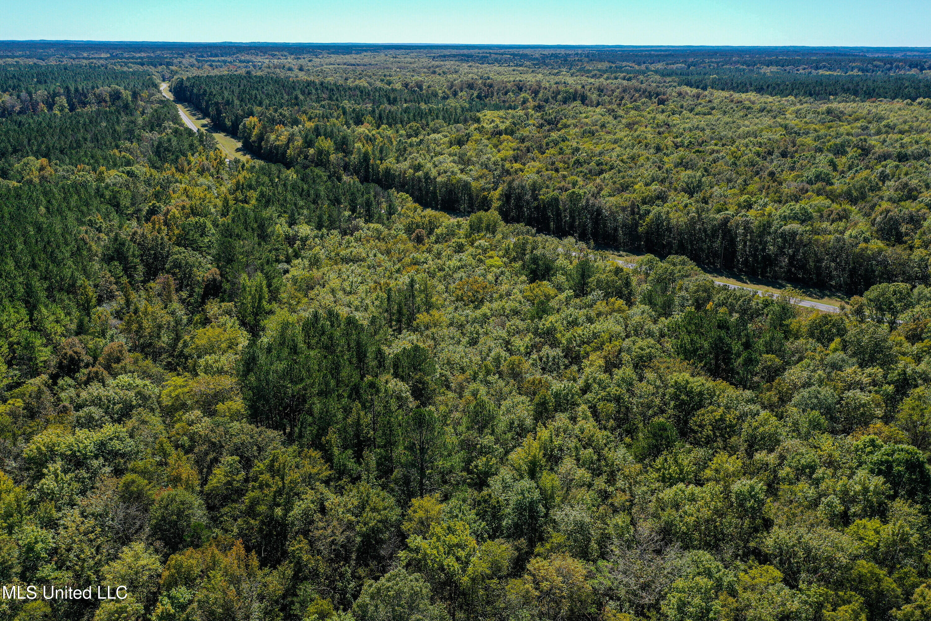 Highway 505, Lawrence, Mississippi image 13