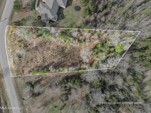 Vacant Land For Sale - 10 Crossbuck Road<br/> Lamar County, Sumrall, MS 39482