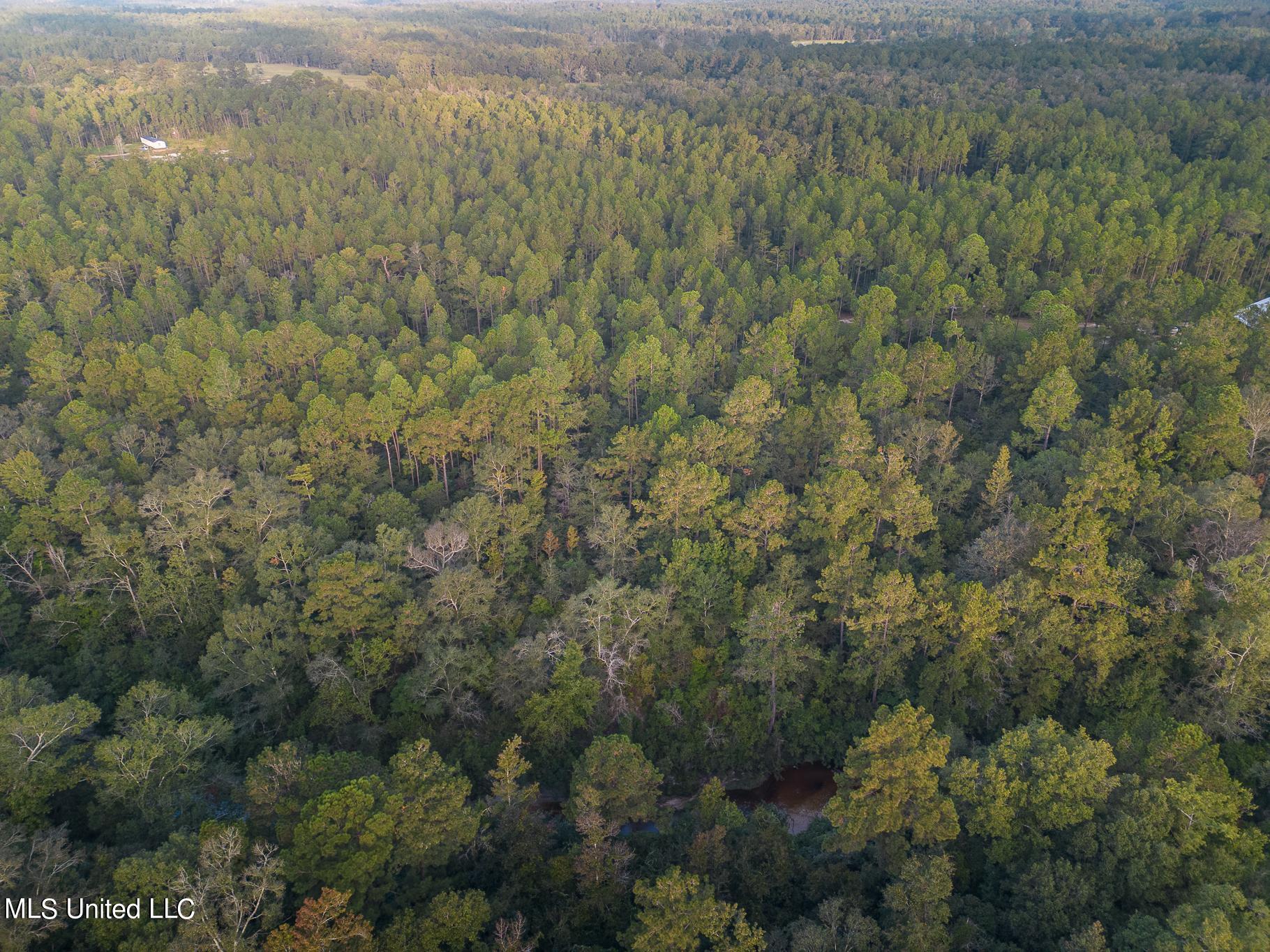 Creek Cove, Perkinston, Mississippi image 4