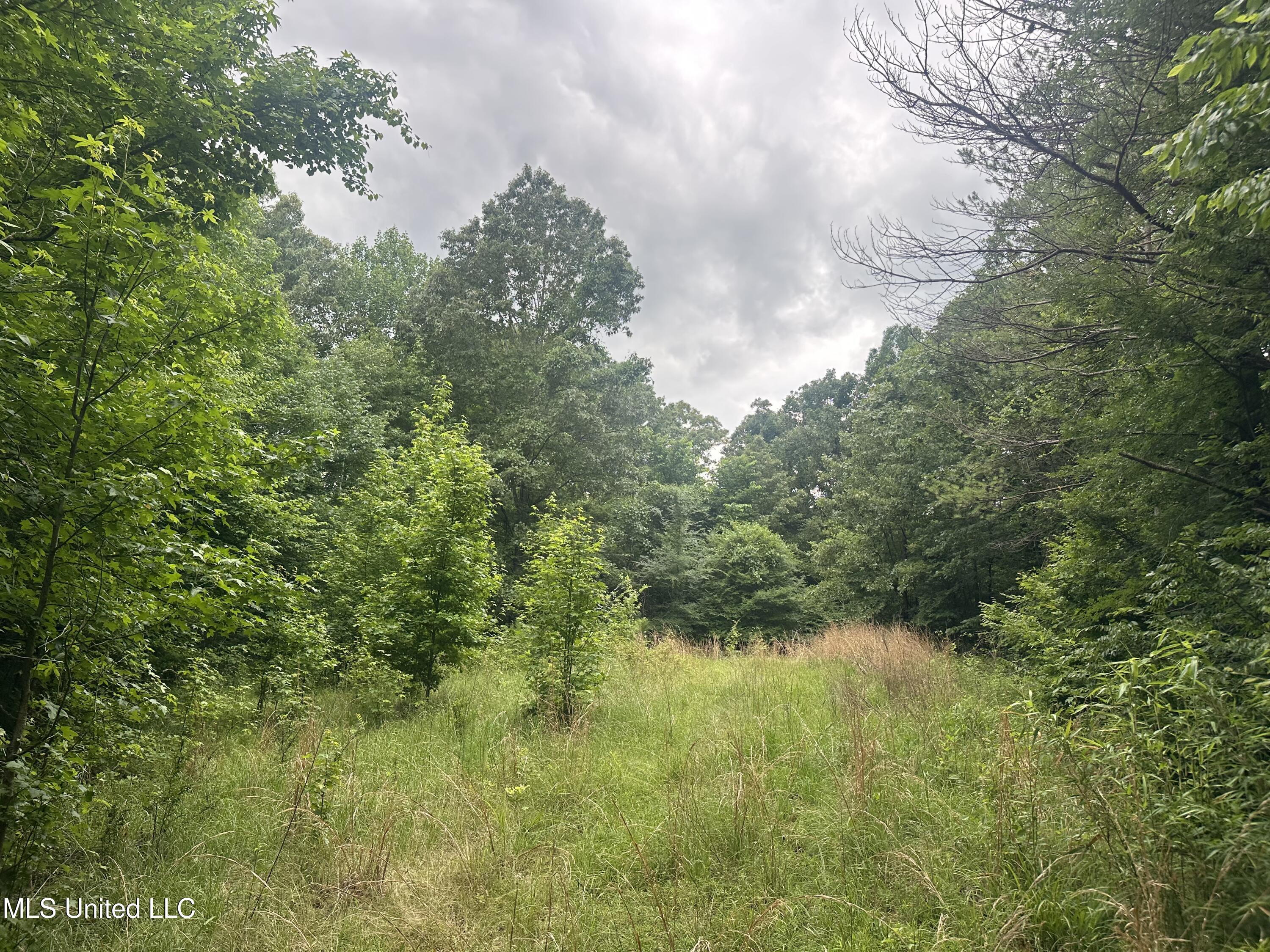Gessler Rd, Benton, Mississippi image 2