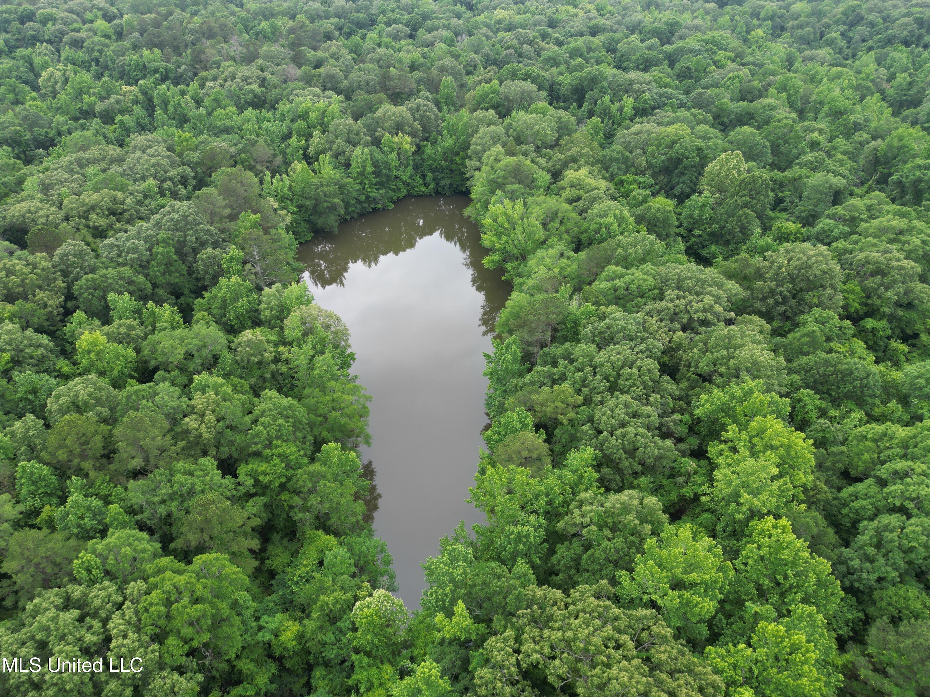 Gessler Rd, Benton, Mississippi image 1