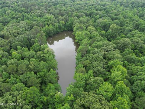 Vacant Land For Sale - Gessler Rd<br/> Yazoo County, Benton, MS 39039