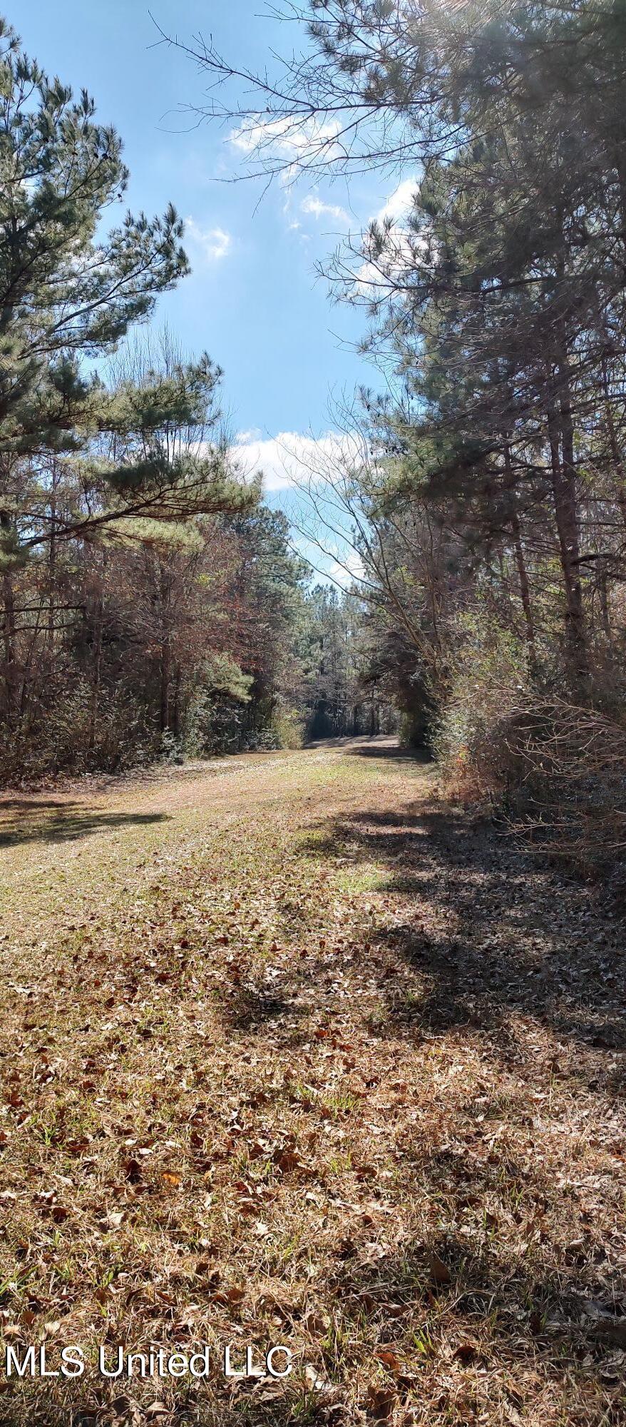 No Pecan Drive, Lumberton, Mississippi image 8