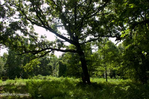 Vacant Land For Sale - Ms-35<br/> Charleston, MS 38921