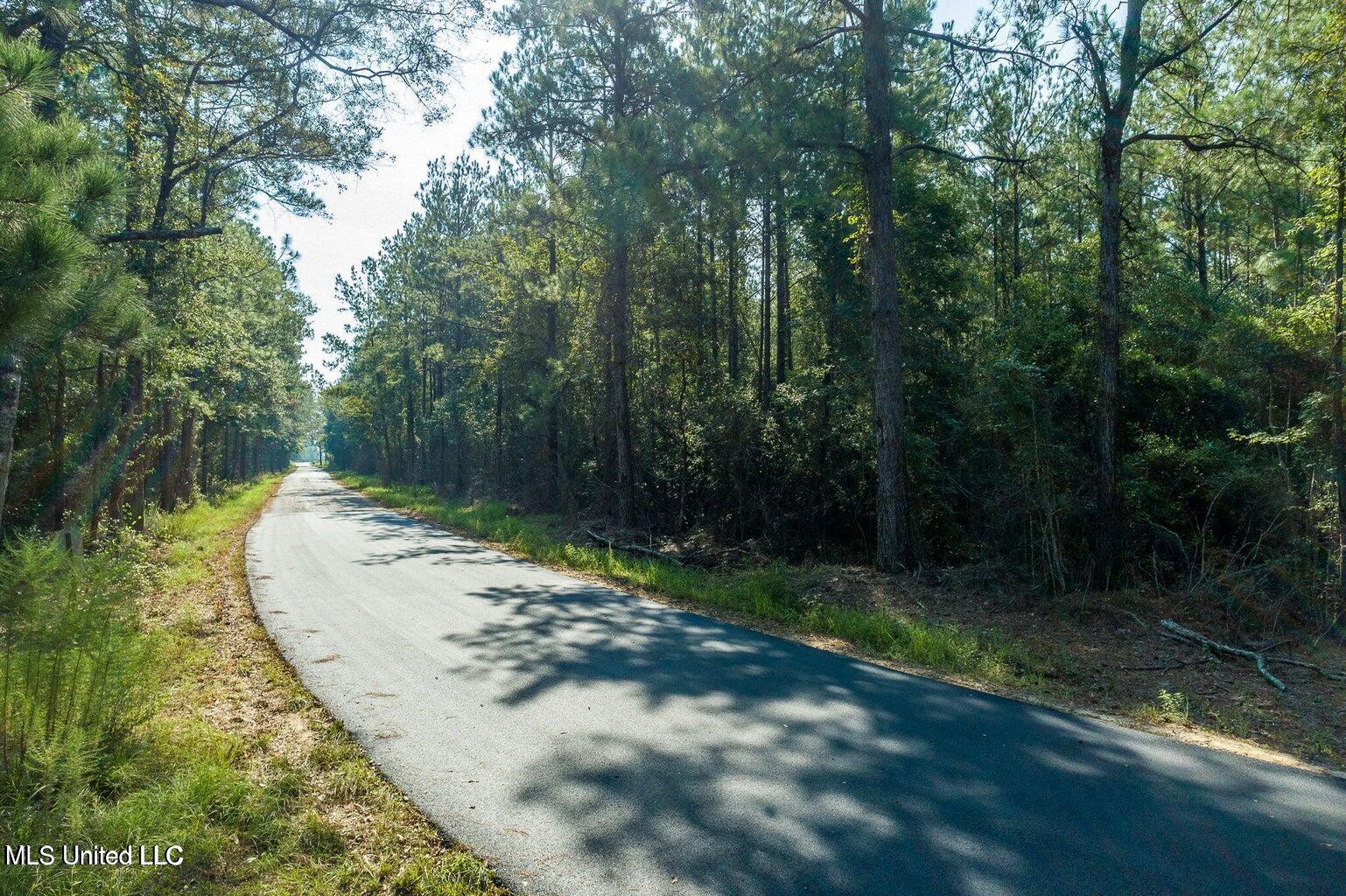 Jernigan Road, Leakesville, Mississippi image 1