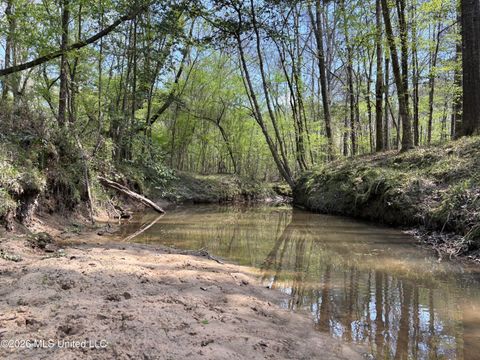 Vacant Land For Sale - SW Auburn Drive<br/> Lincoln County, Bogue Chitto, MS 39629