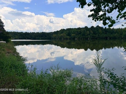 Vacant Land For Sale - 469<br/> Pearl, MS 39208