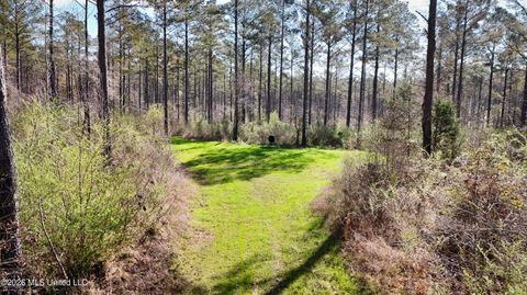 Vacant Land For Sale - N Putnam Road<br/> Madison County, Pickens, MS 39146