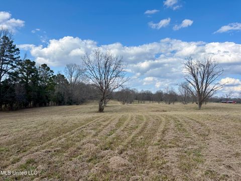Vacant Land For Sale - 1255 N Chapel Hill Road<br/> Raymond, MS 39154