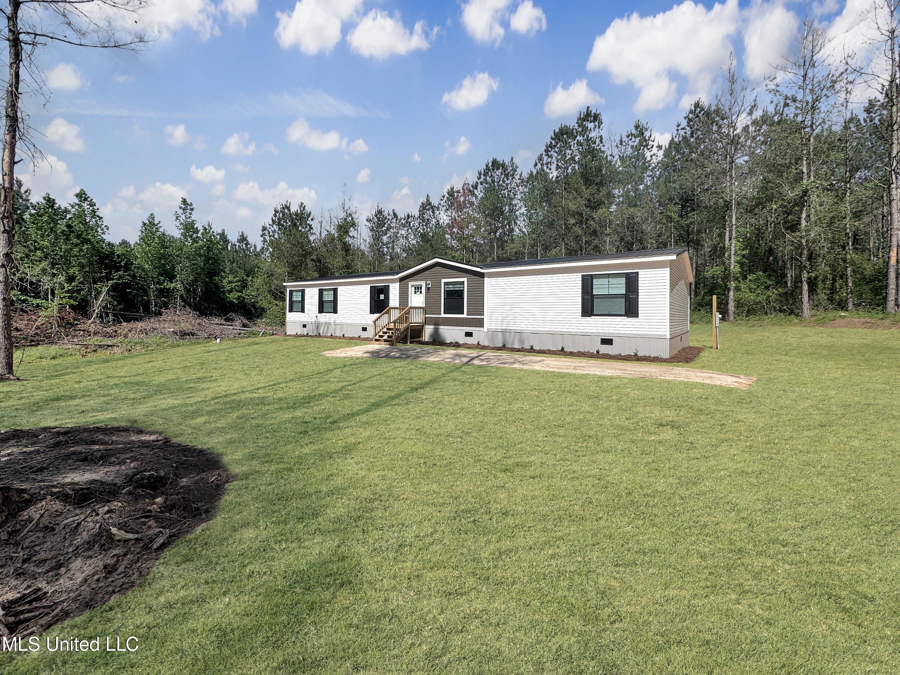 102 Brumley Lane, Mize, Mississippi image 1