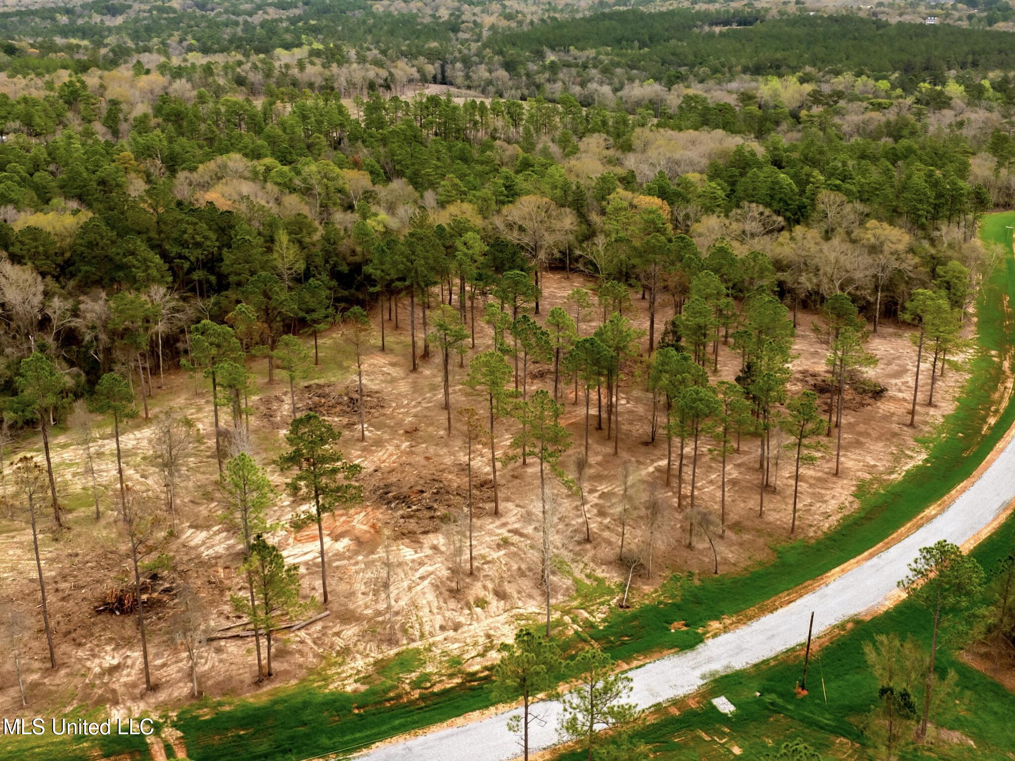 Lot 14 Pine Ridge Lane, Lucedale, Mississippi image 9