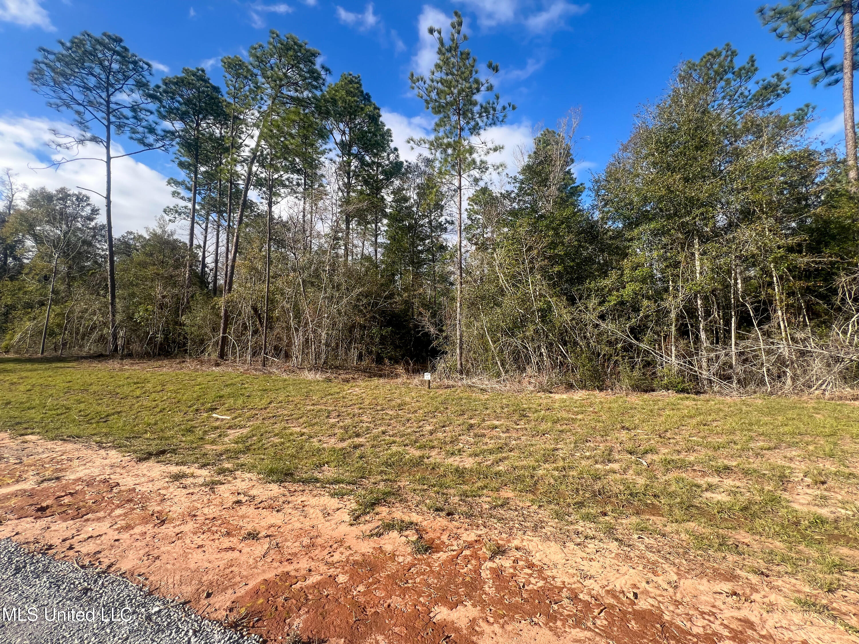 Lot 14 Pine Ridge Lane, Lucedale, Mississippi image 4