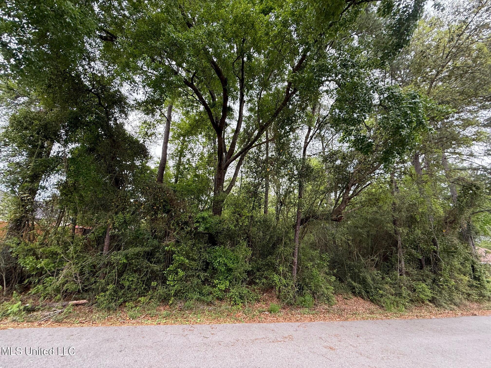 6350 Banyan Place, Diamondhead, Mississippi image 1