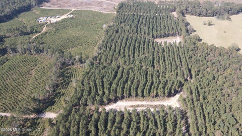 Vacant Land For Sale - Loyd Irby Road<br/> Pelahatchie, MS 39145