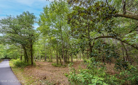 Vacant Land For Sale - Eagle Point Road<br/> Ocean Springs, MS 39564