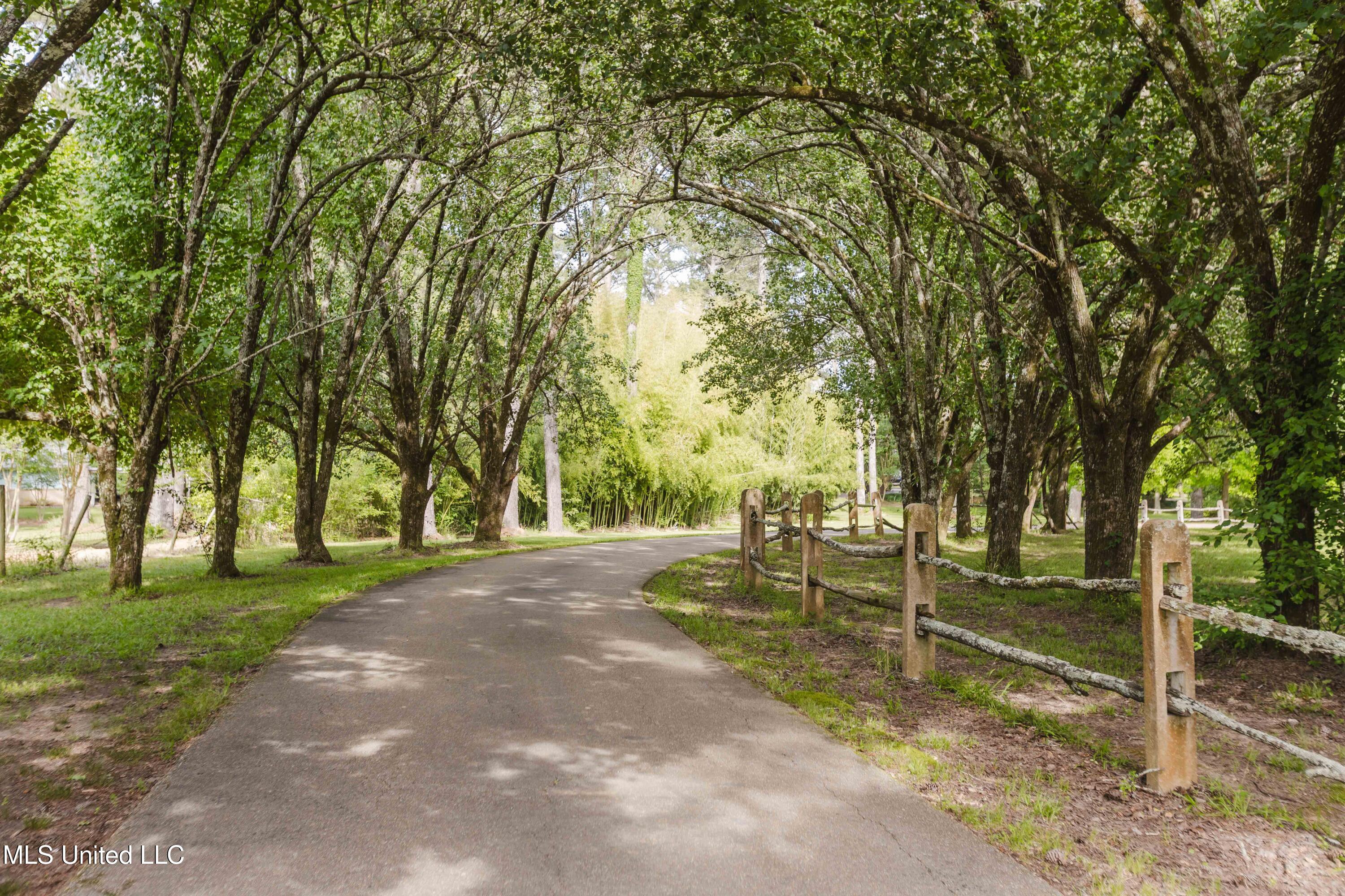 3960 Forest Hill Road, Jackson, Mississippi image 10