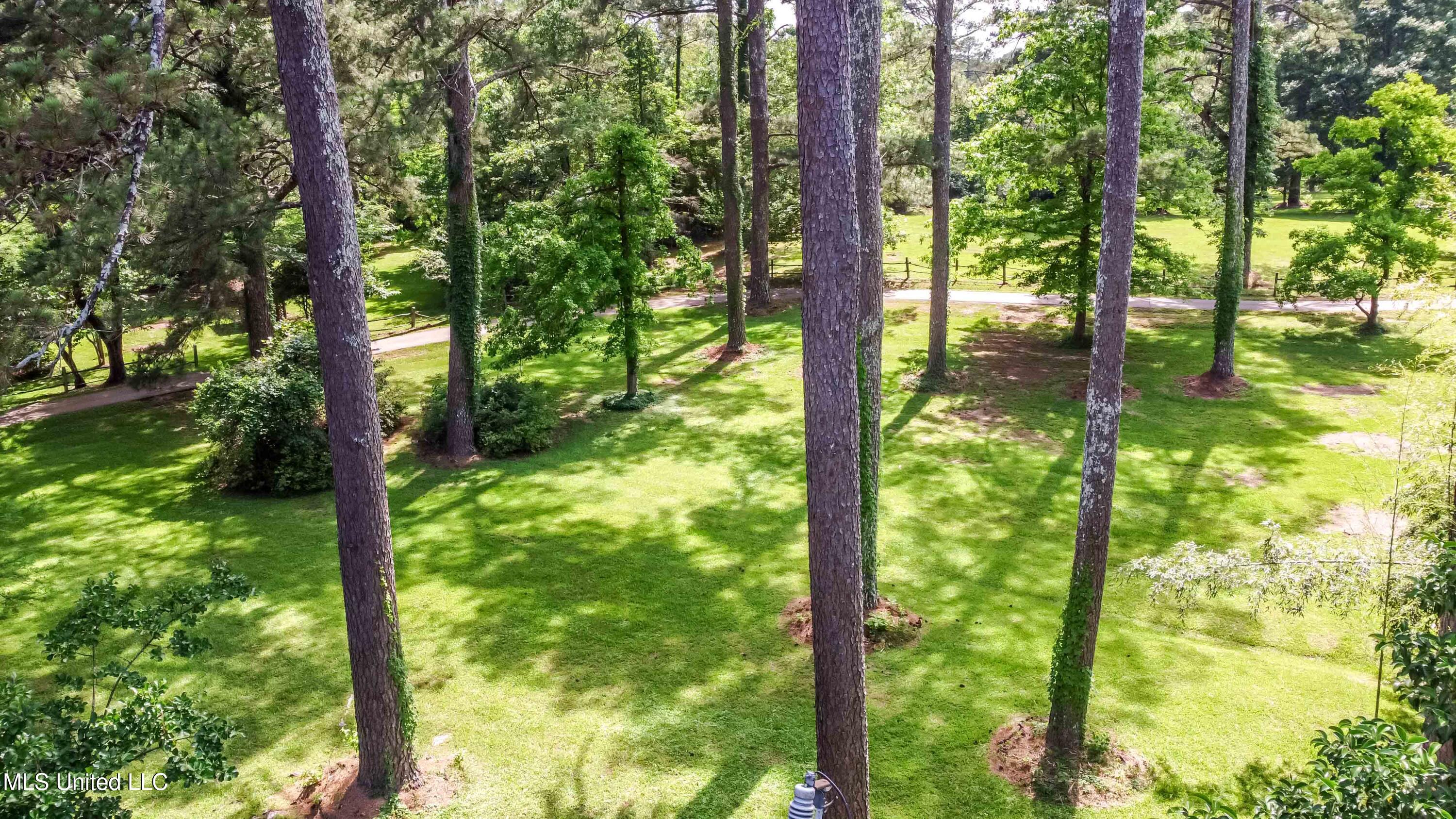 3960 Forest Hill Road, Jackson, Mississippi image 18